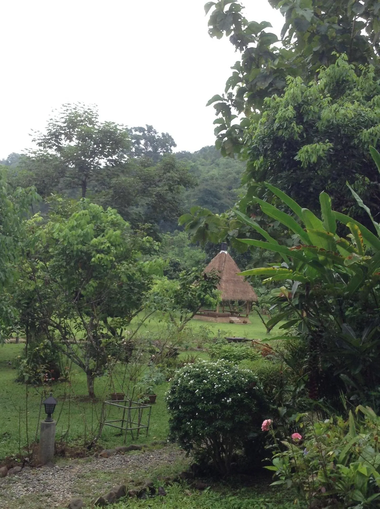 Natural landscape in At Home Chiang Dao, Pooch Lovers