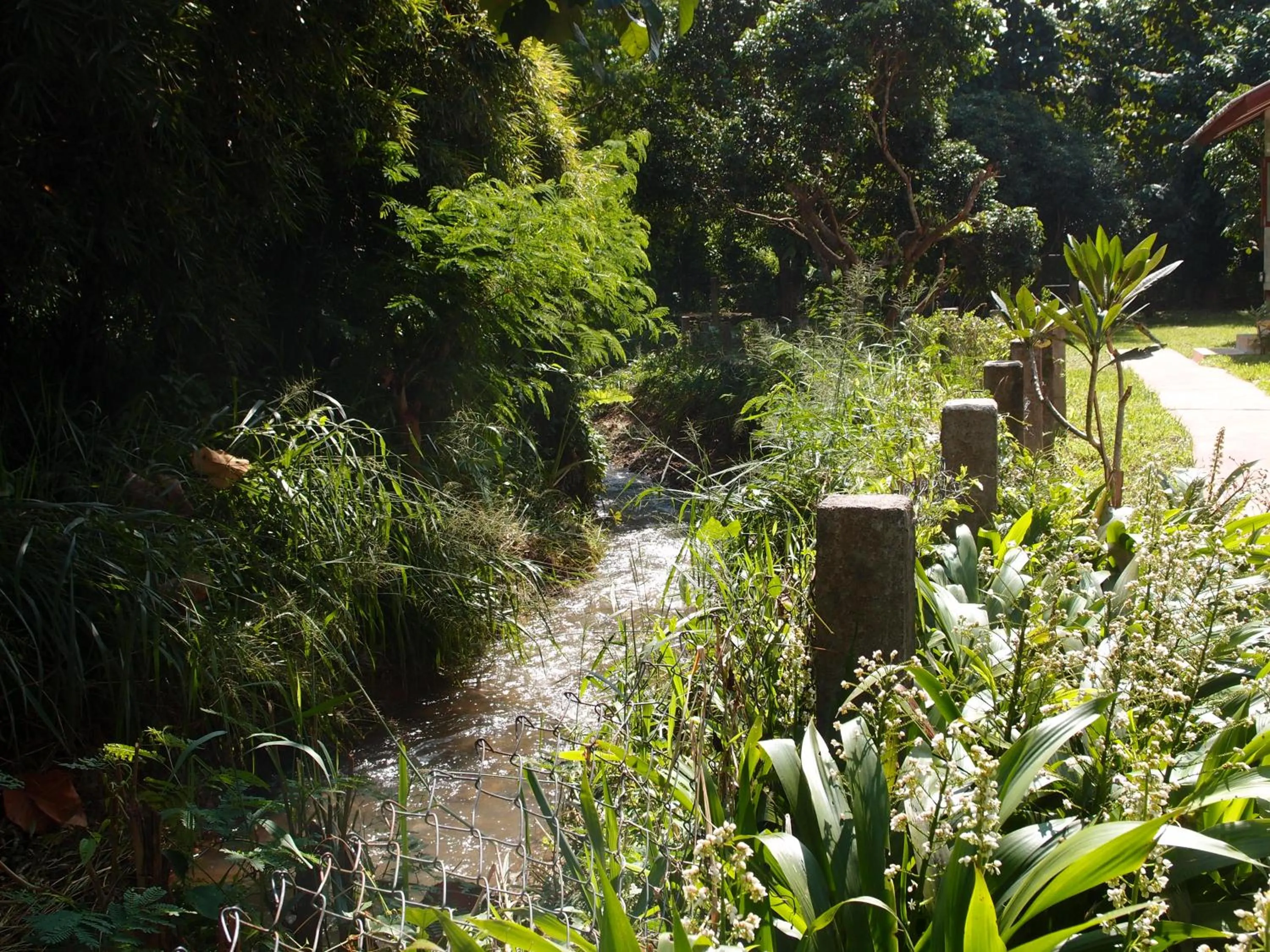 Natural landscape in At Home Chiang Dao, Pooch Lovers