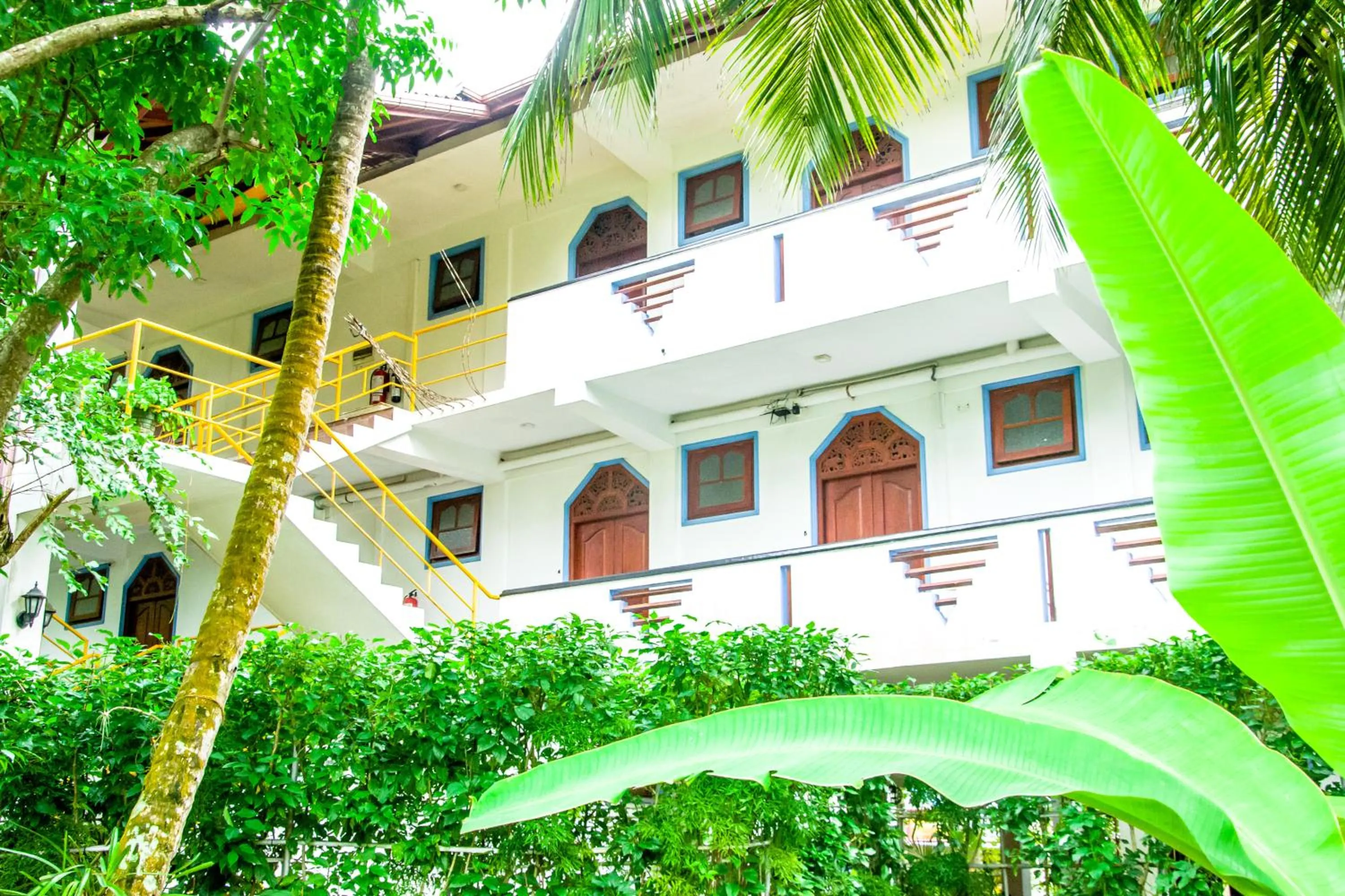 Property building in No Name Rest