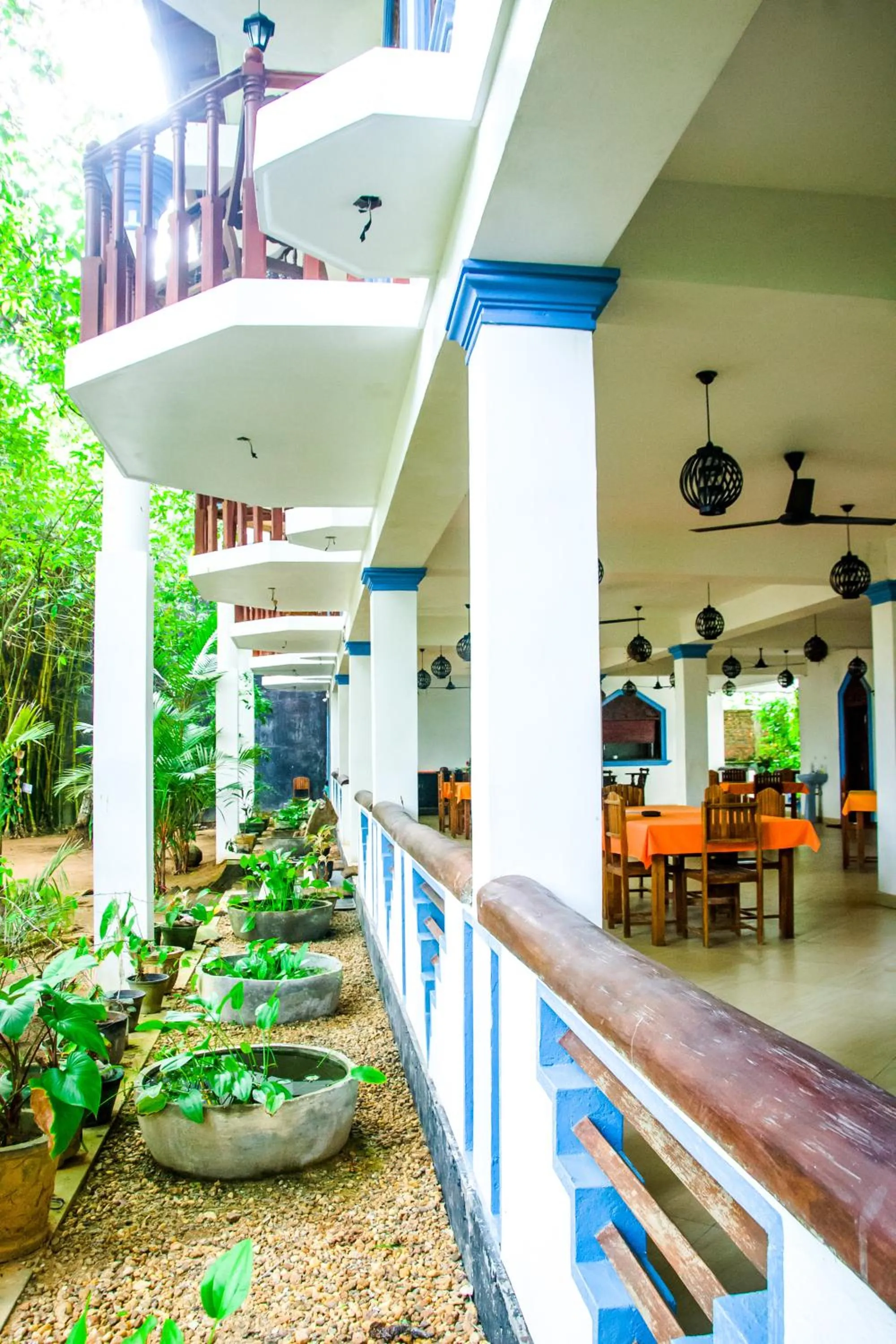 Property building in No Name Rest