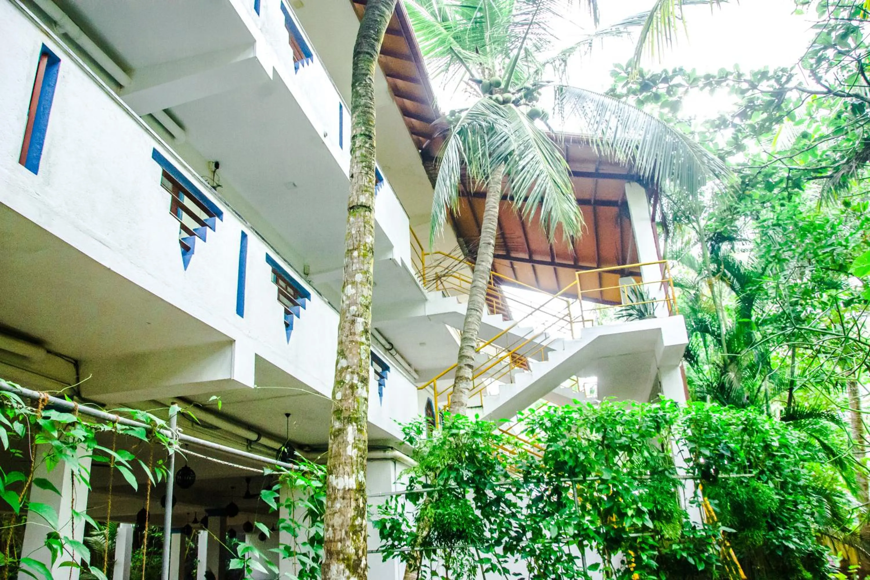 Property building in No Name Rest