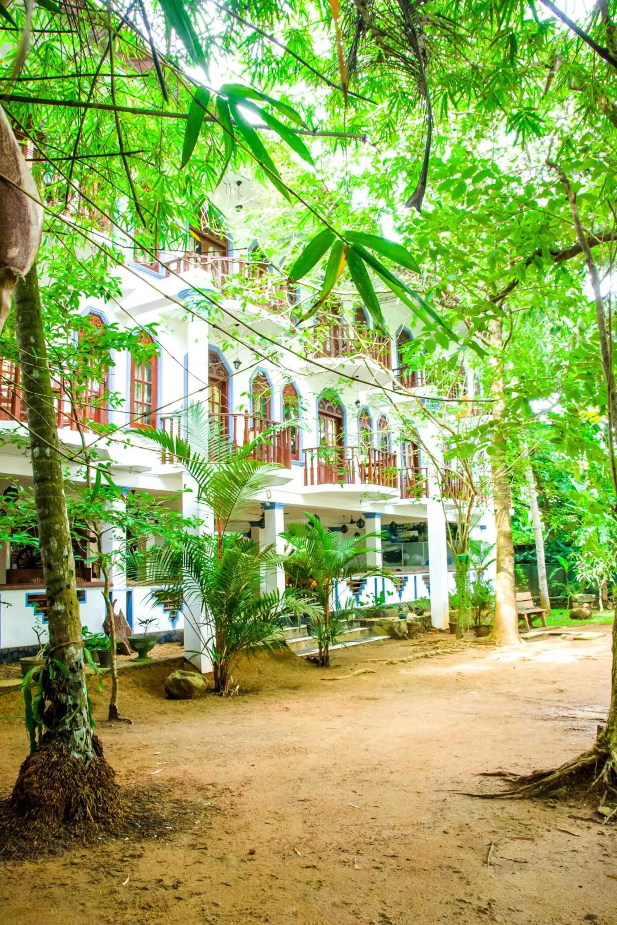 Property building in No Name Rest