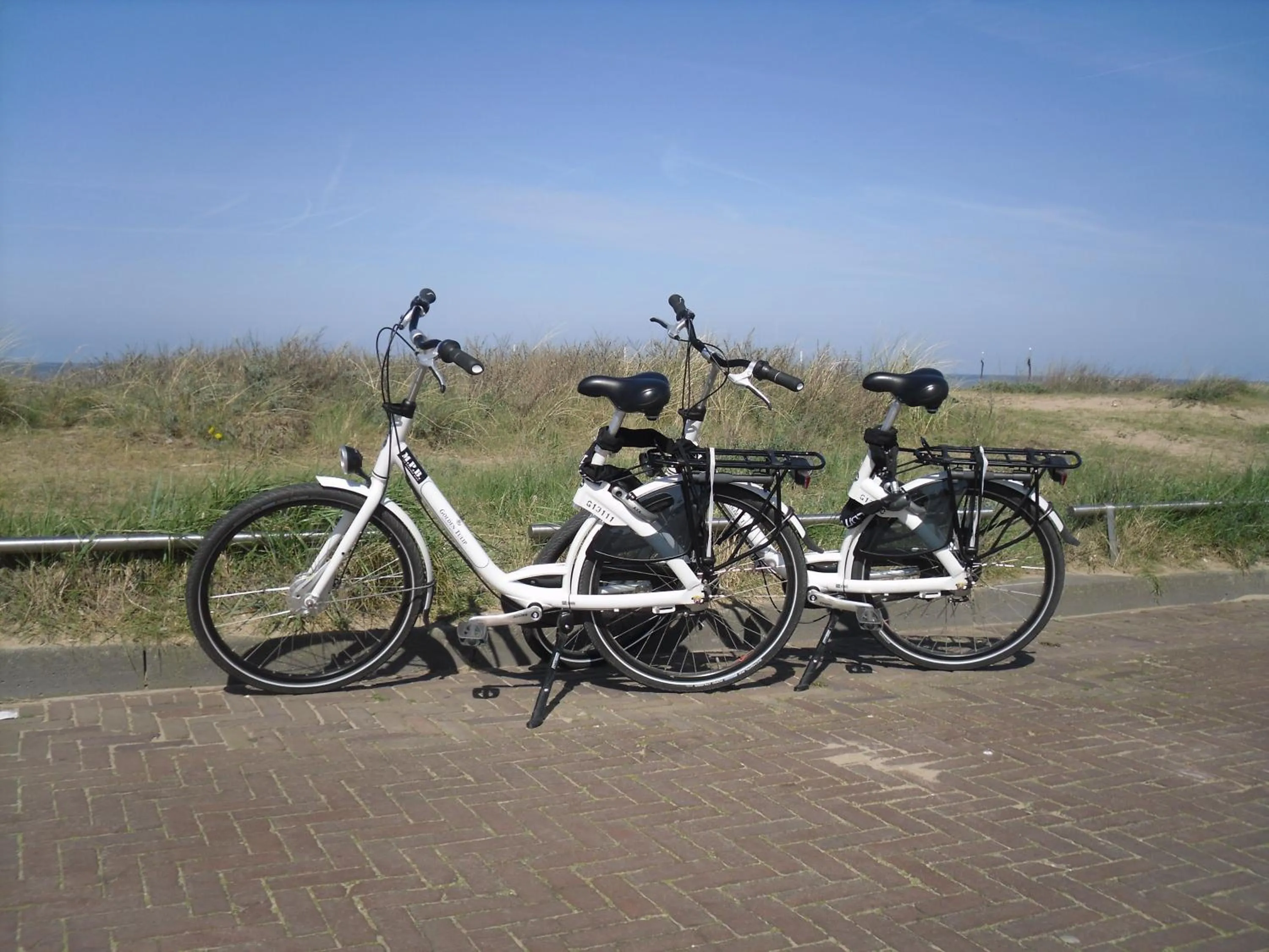 Cycling in Hotel Golfzicht