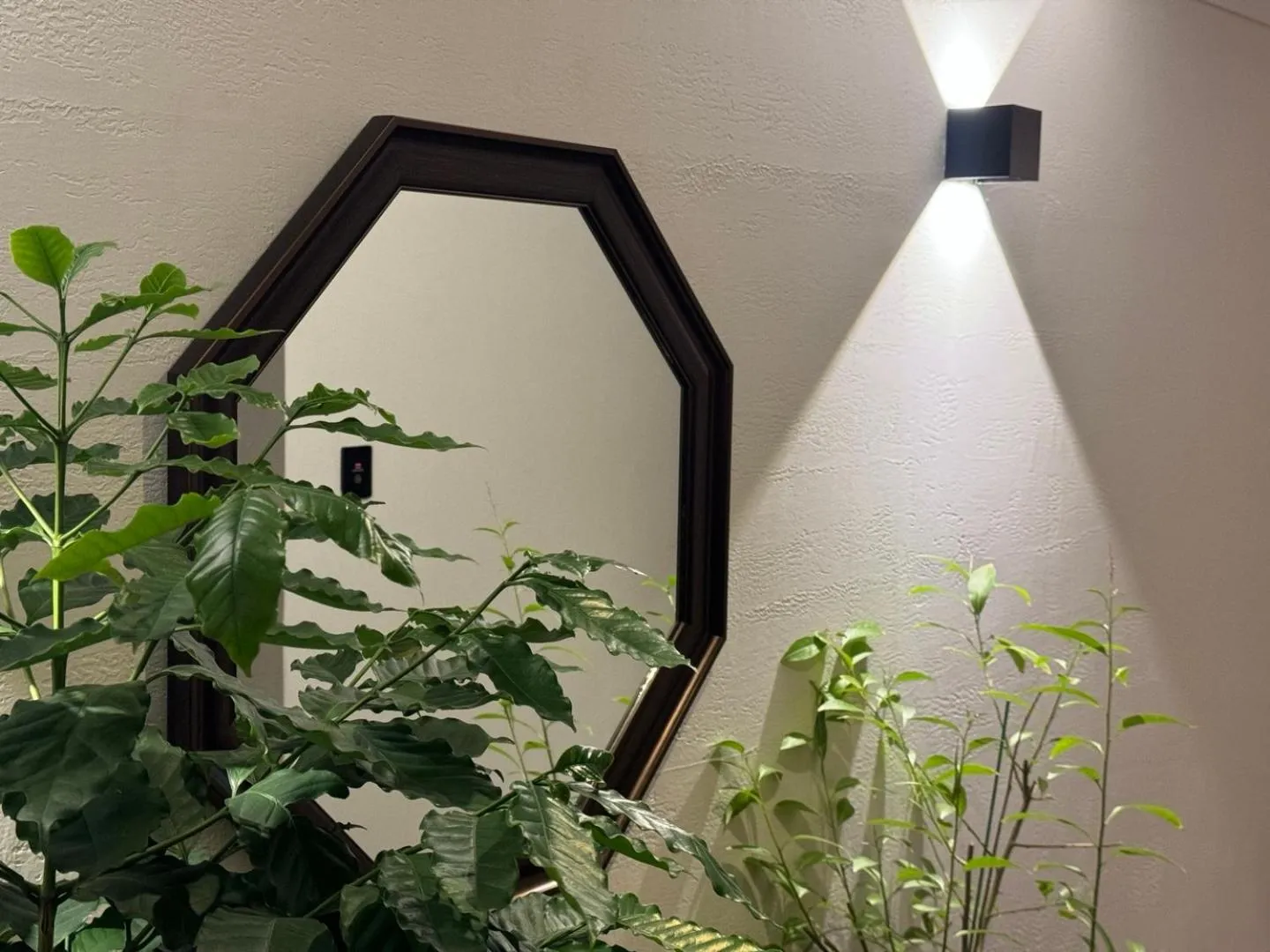 Zenith Tourist Hotel