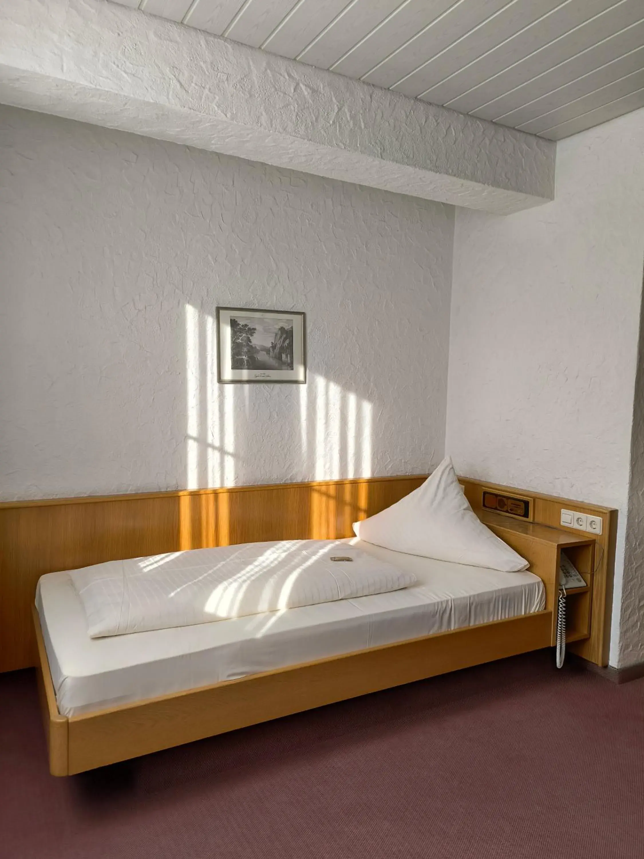 Single Room in Hotel am Neckar Single Room in Hotel am Neckar