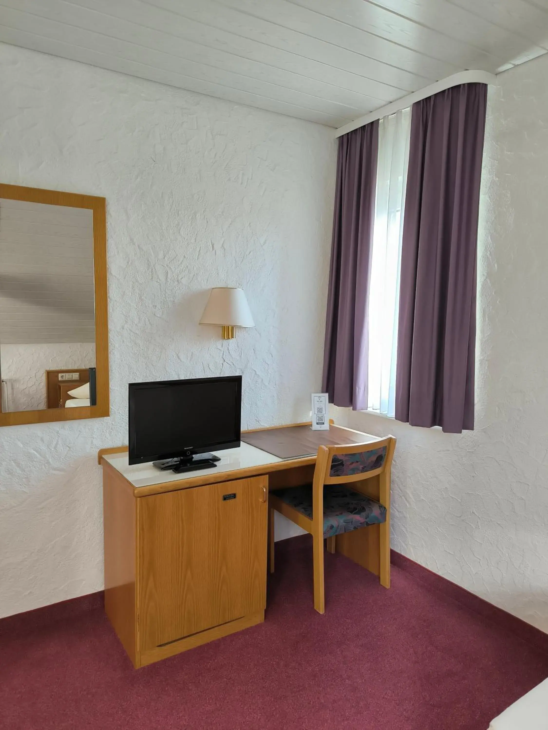 Single Room in Hotel am Neckar Single Room in Hotel am Neckar