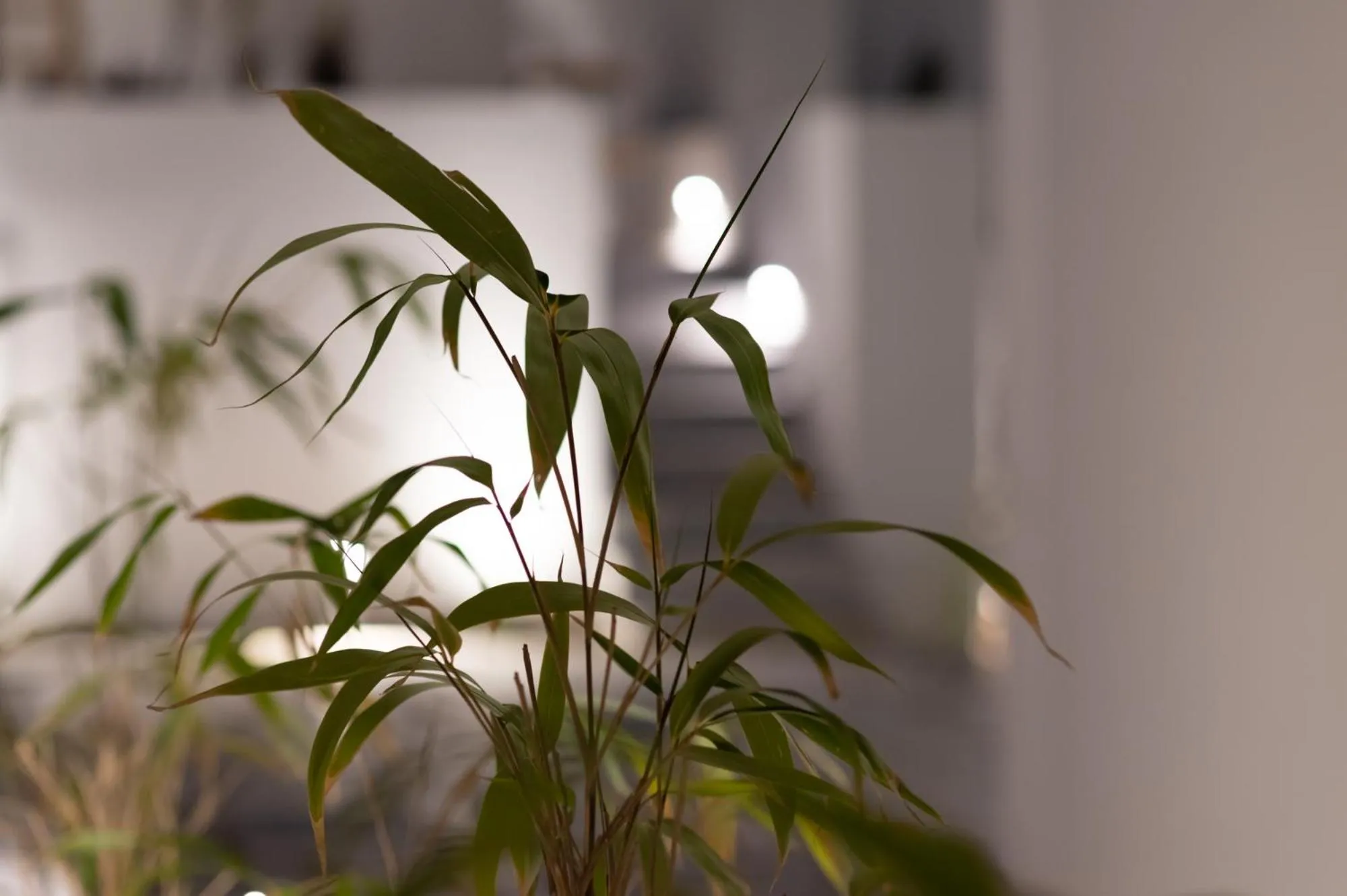 Decorative detail in Kosmitis Suites & Villas