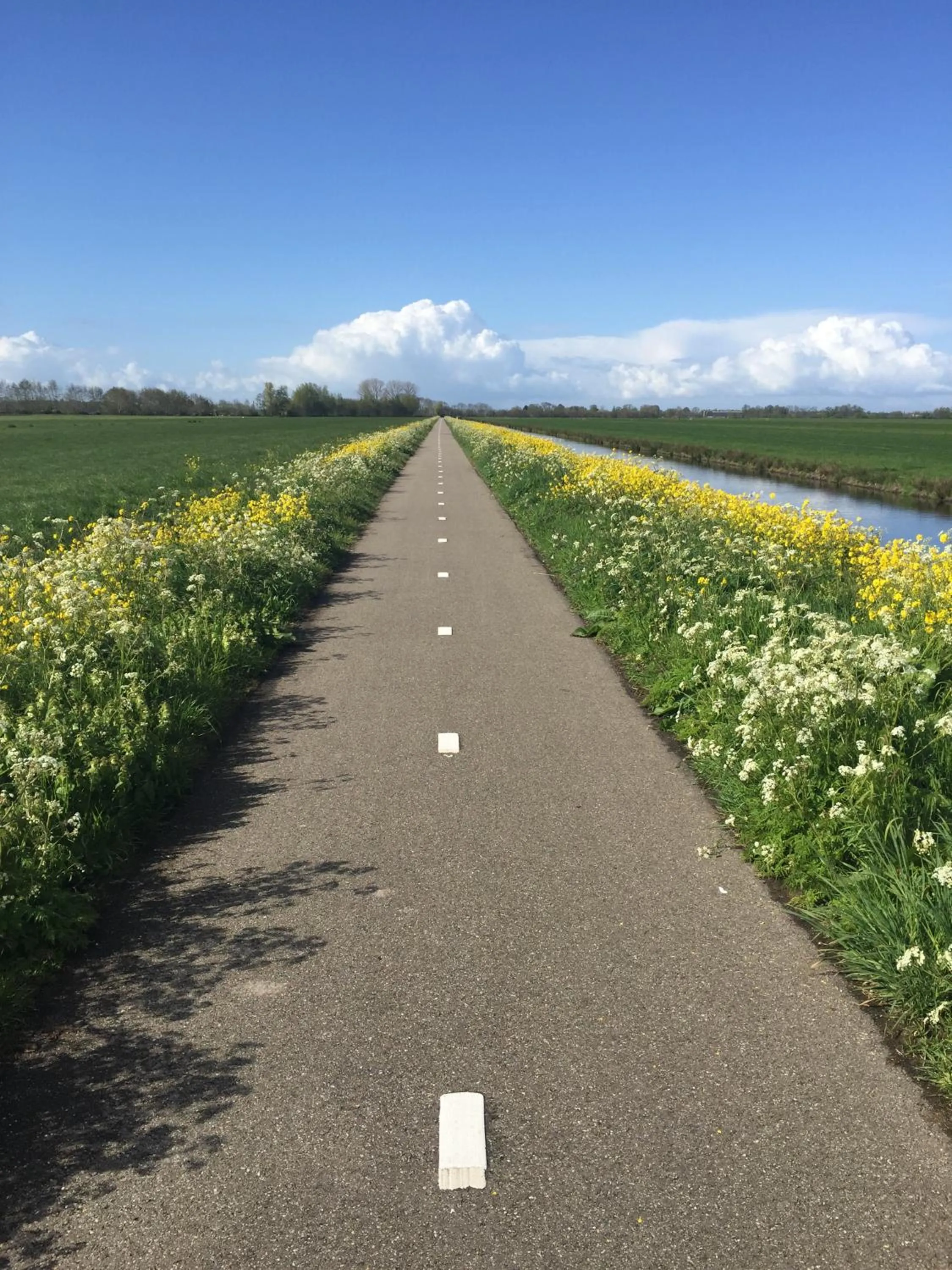 Natural landscape in Droomgaerd