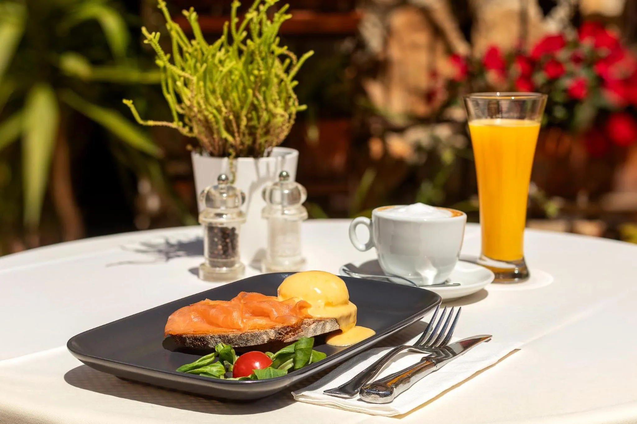 Food and drinks in Petit Hotel Ses Rotges - Only Adults