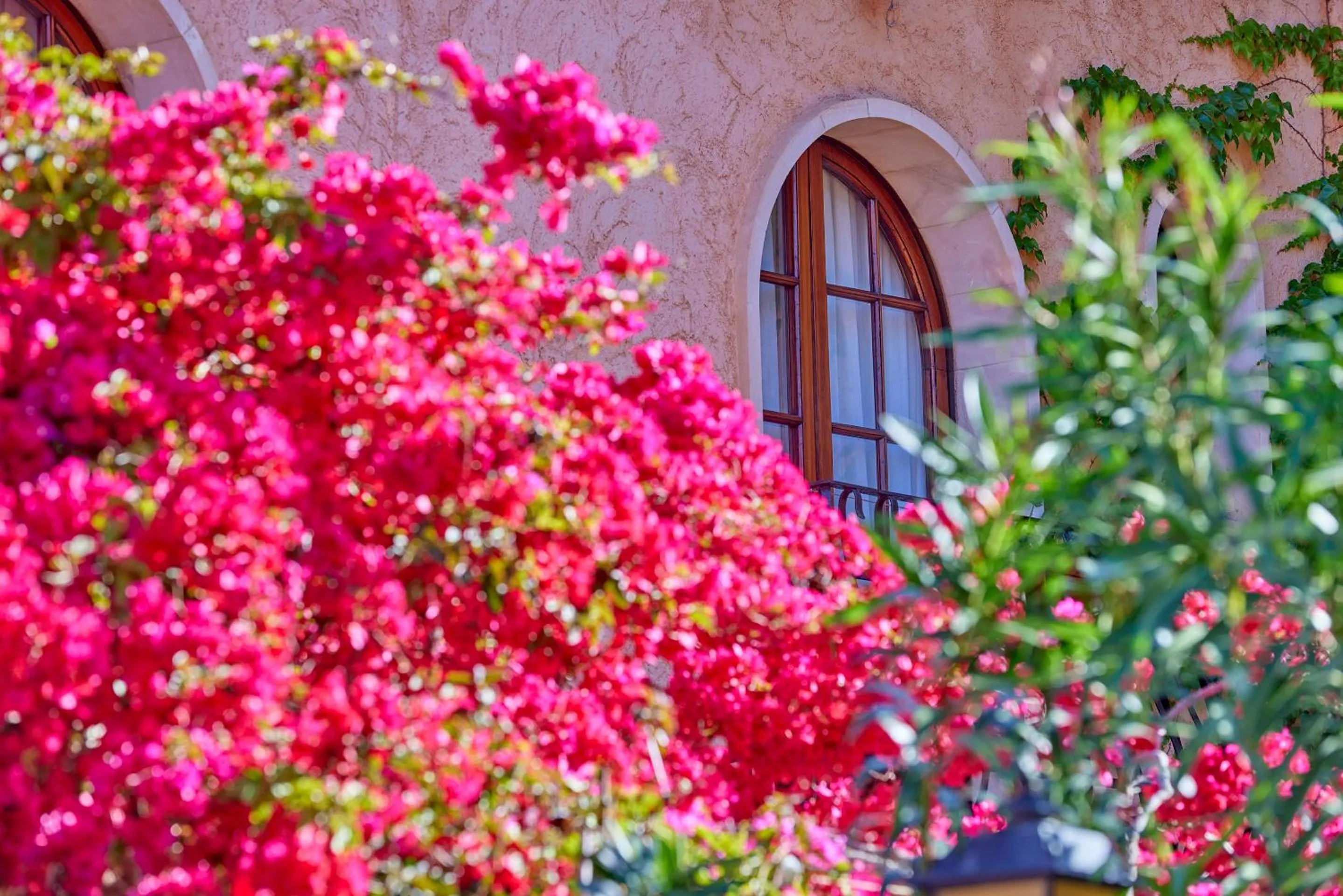 Property building in Petit Hotel Ses Rotges - Only Adults