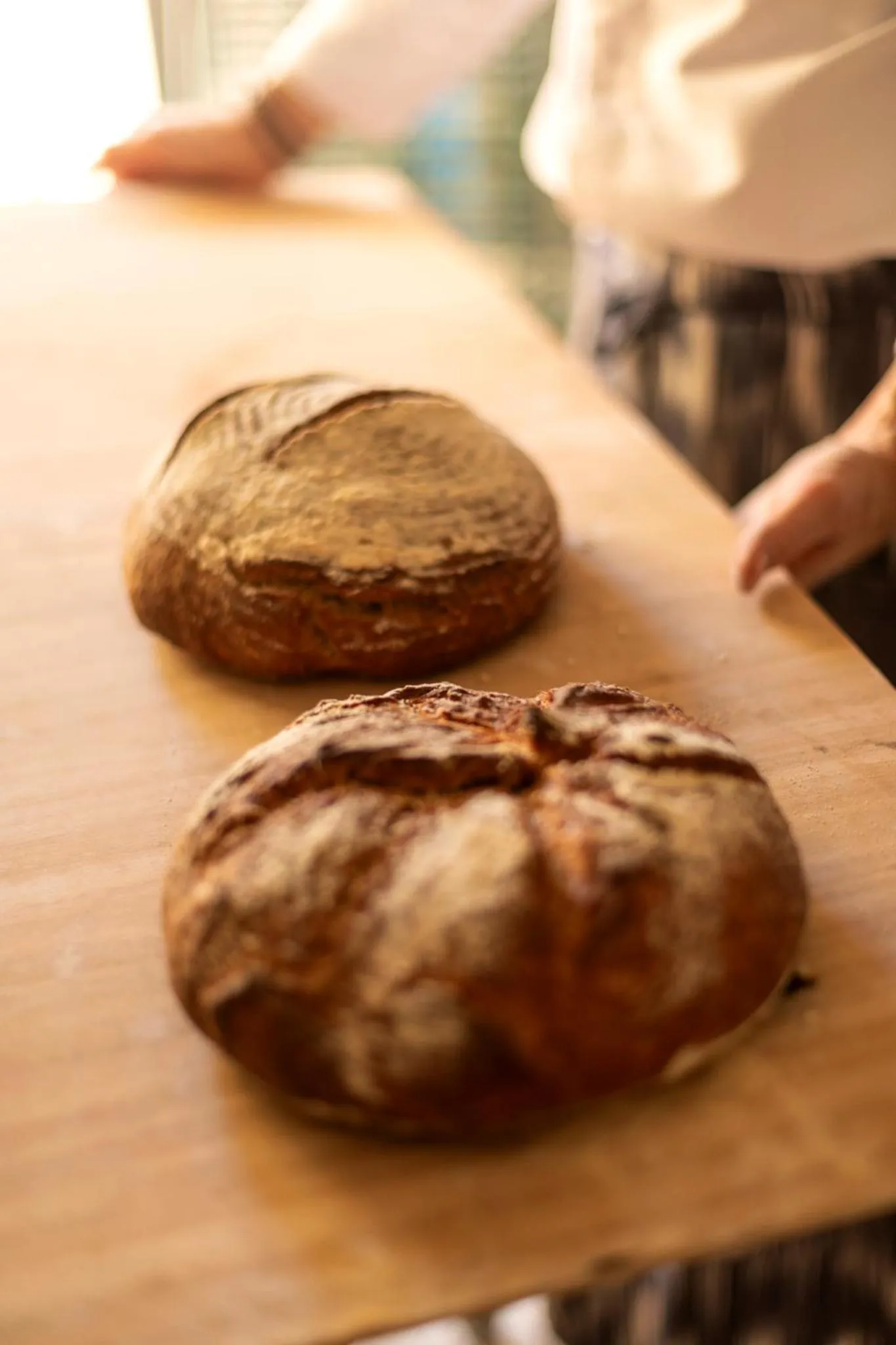 Food in Petit Hotel Ses Rotges - Only Adults