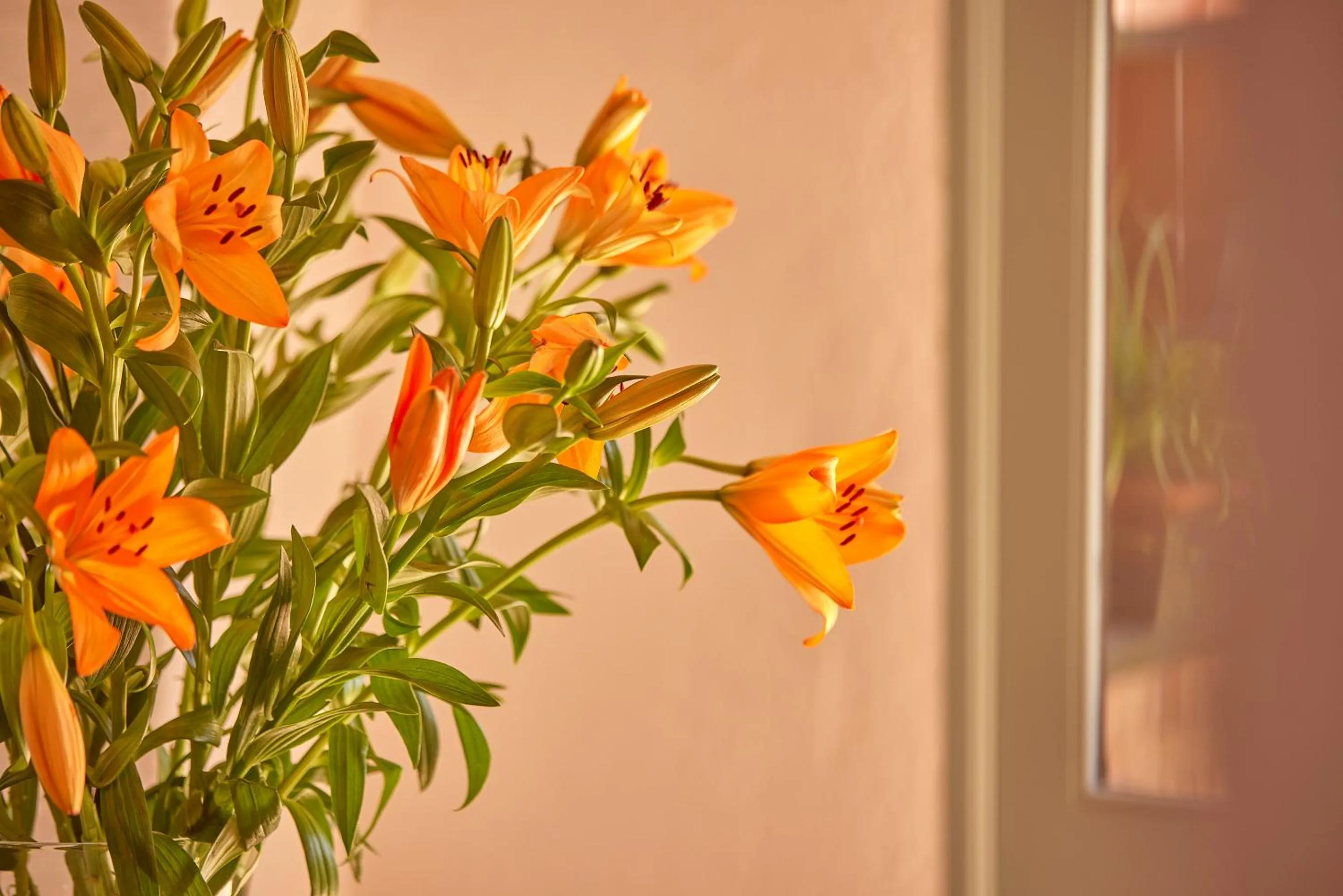 Property building in Petit Hotel Ses Rotges - Only Adults