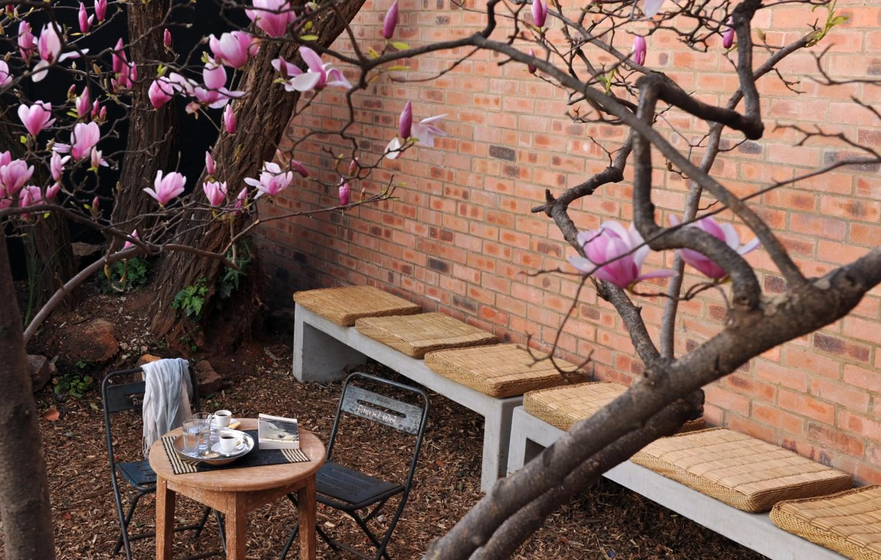 Garden in Satyagraha House