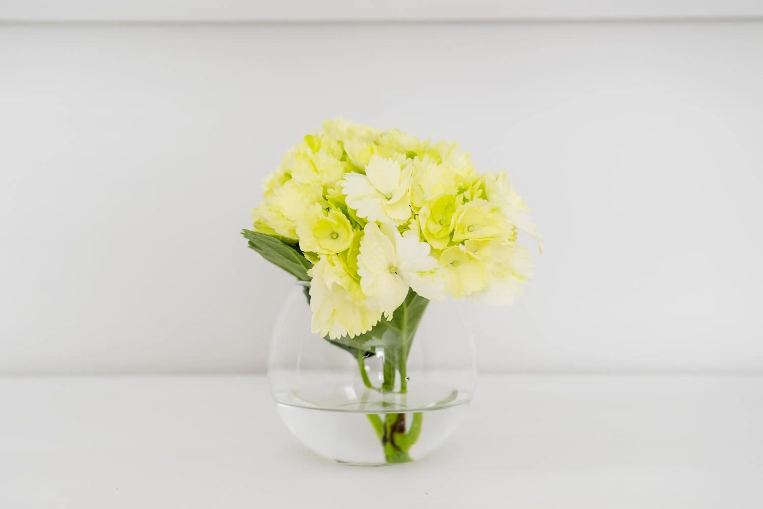Decorative detail in Palazzo Gargiulo Luxury Rooms & Suites