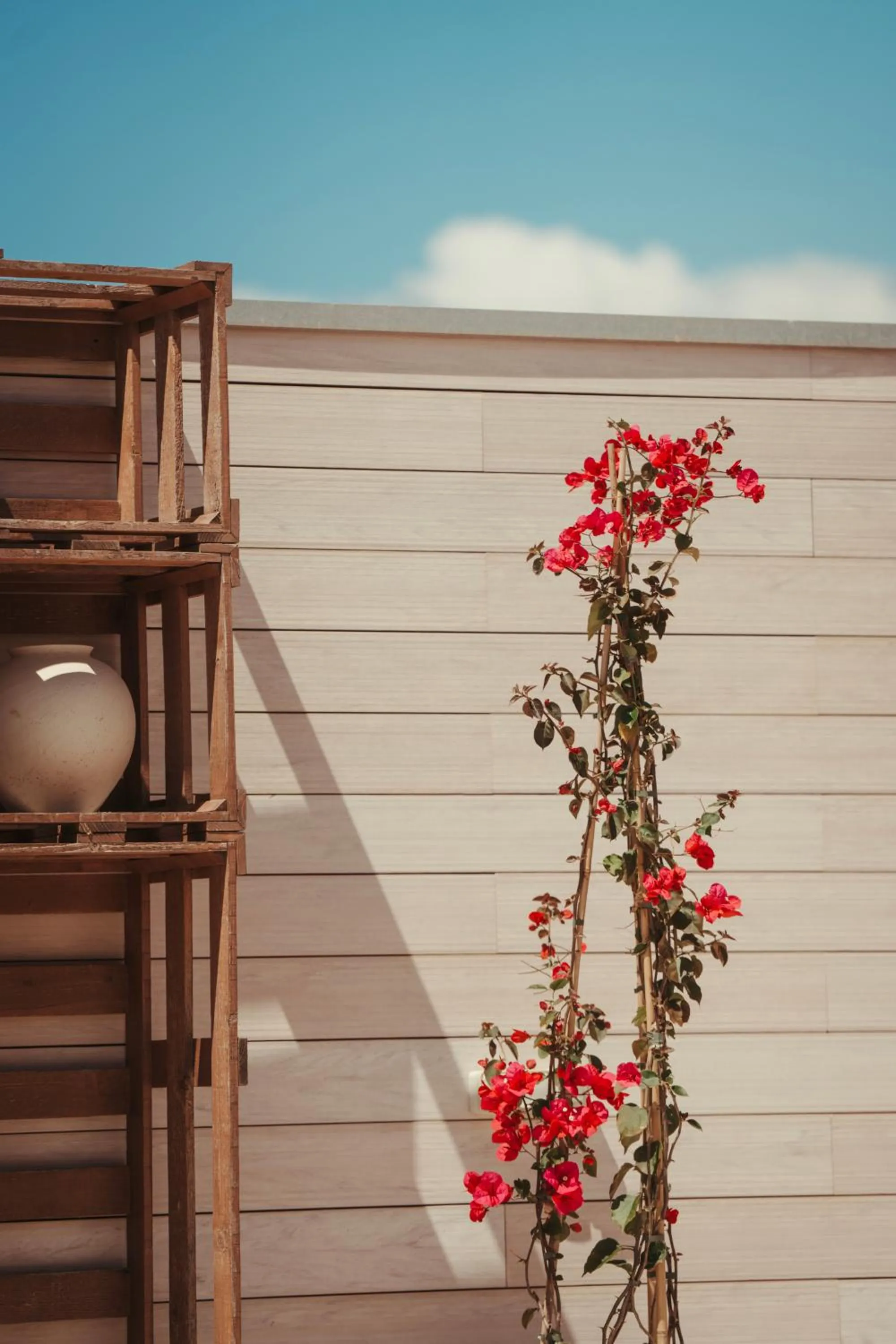 Property building in Hotel Honucai