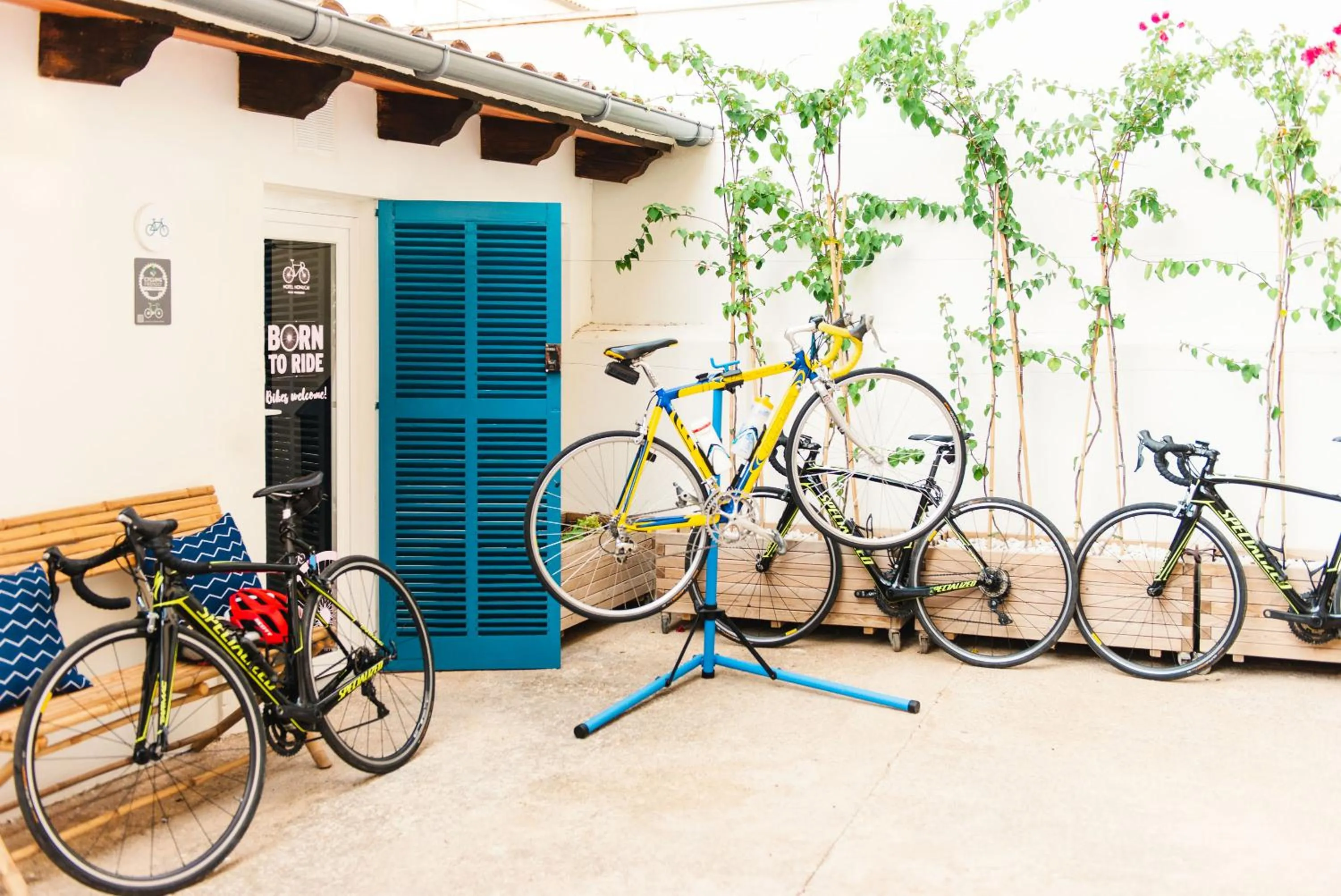 Area and facilities in Hotel Honucai