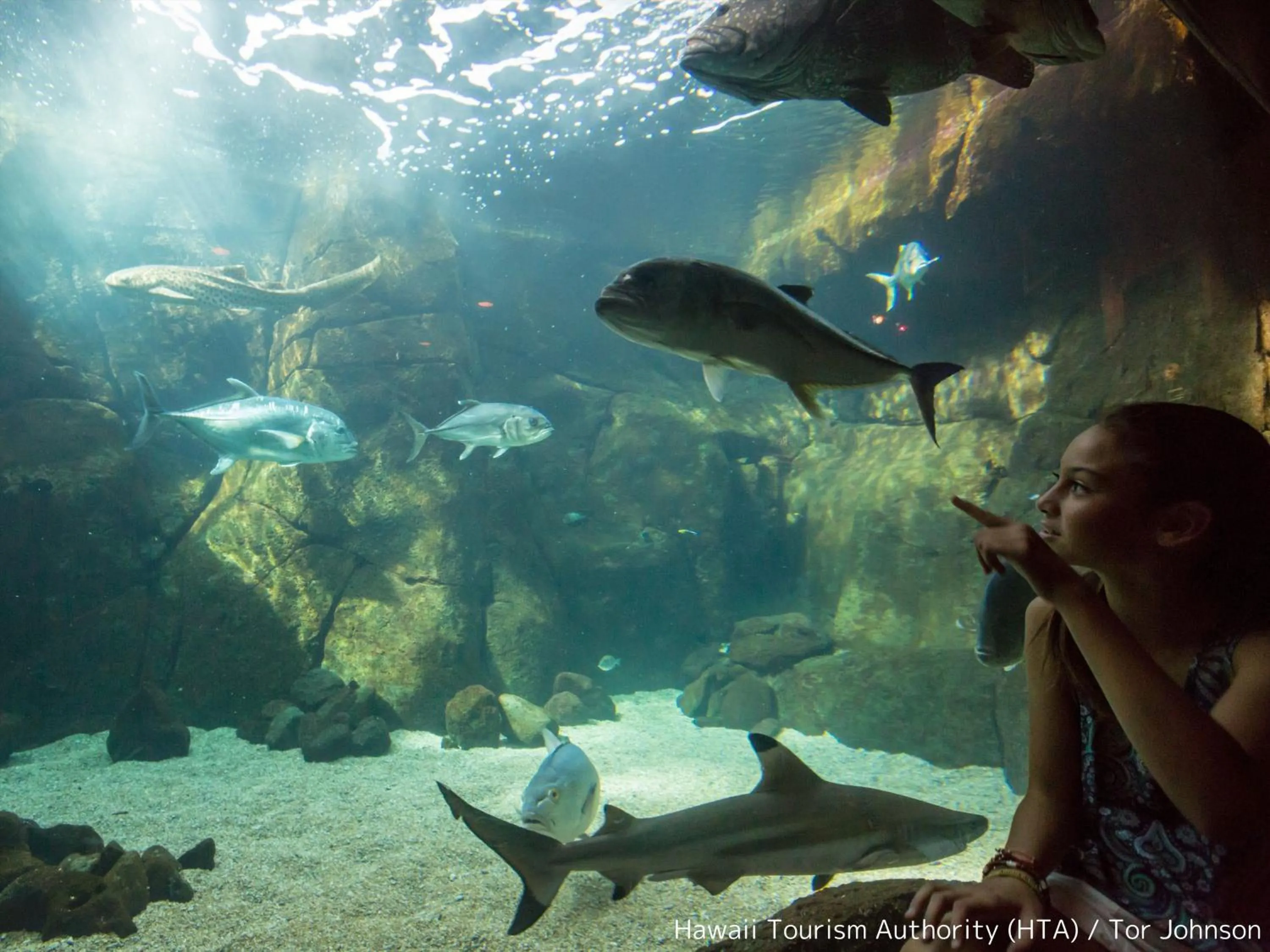 Nearby landmark in First Cabin International Hawaii
