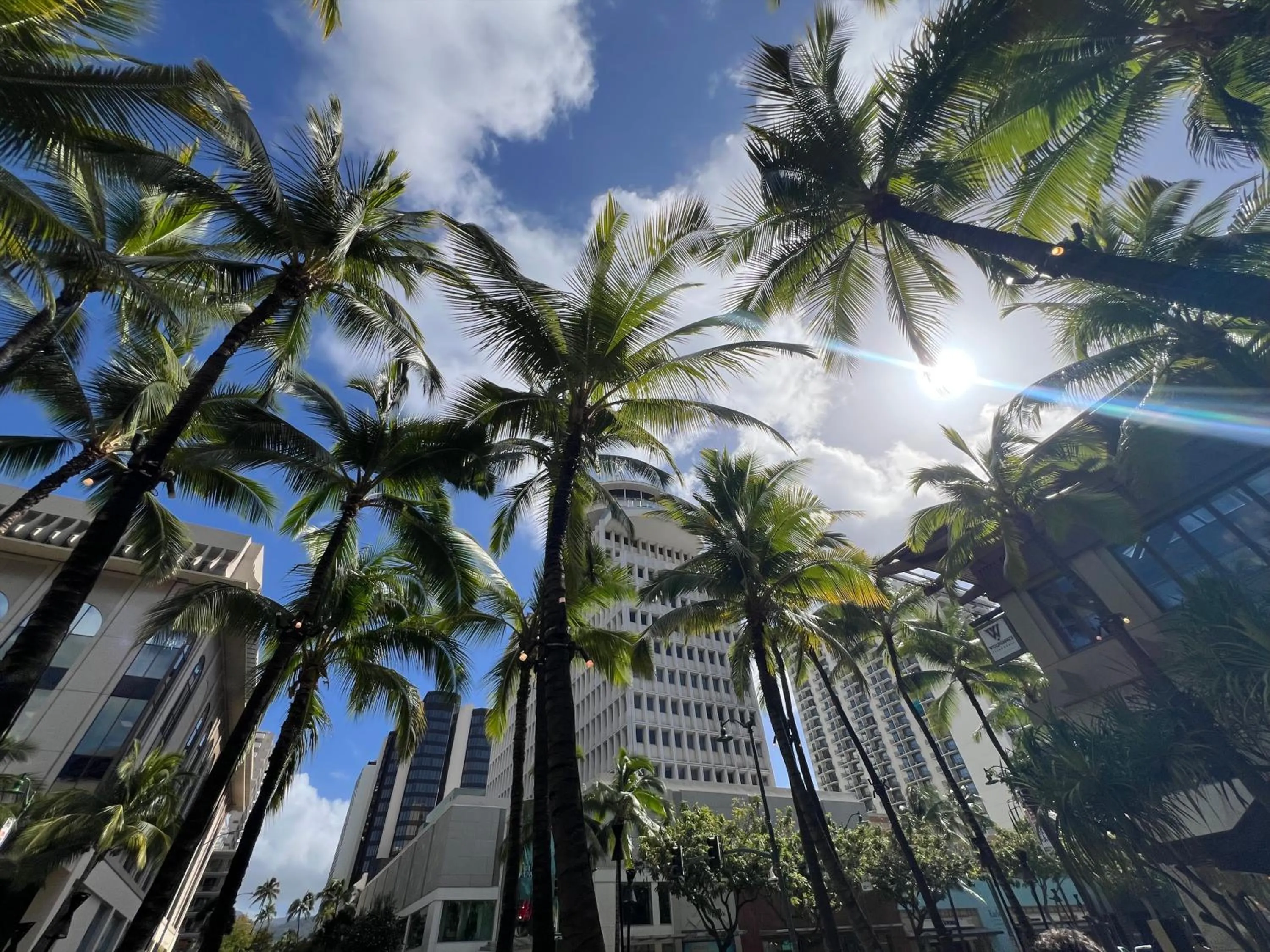 Property building in First Cabin International Hawaii
