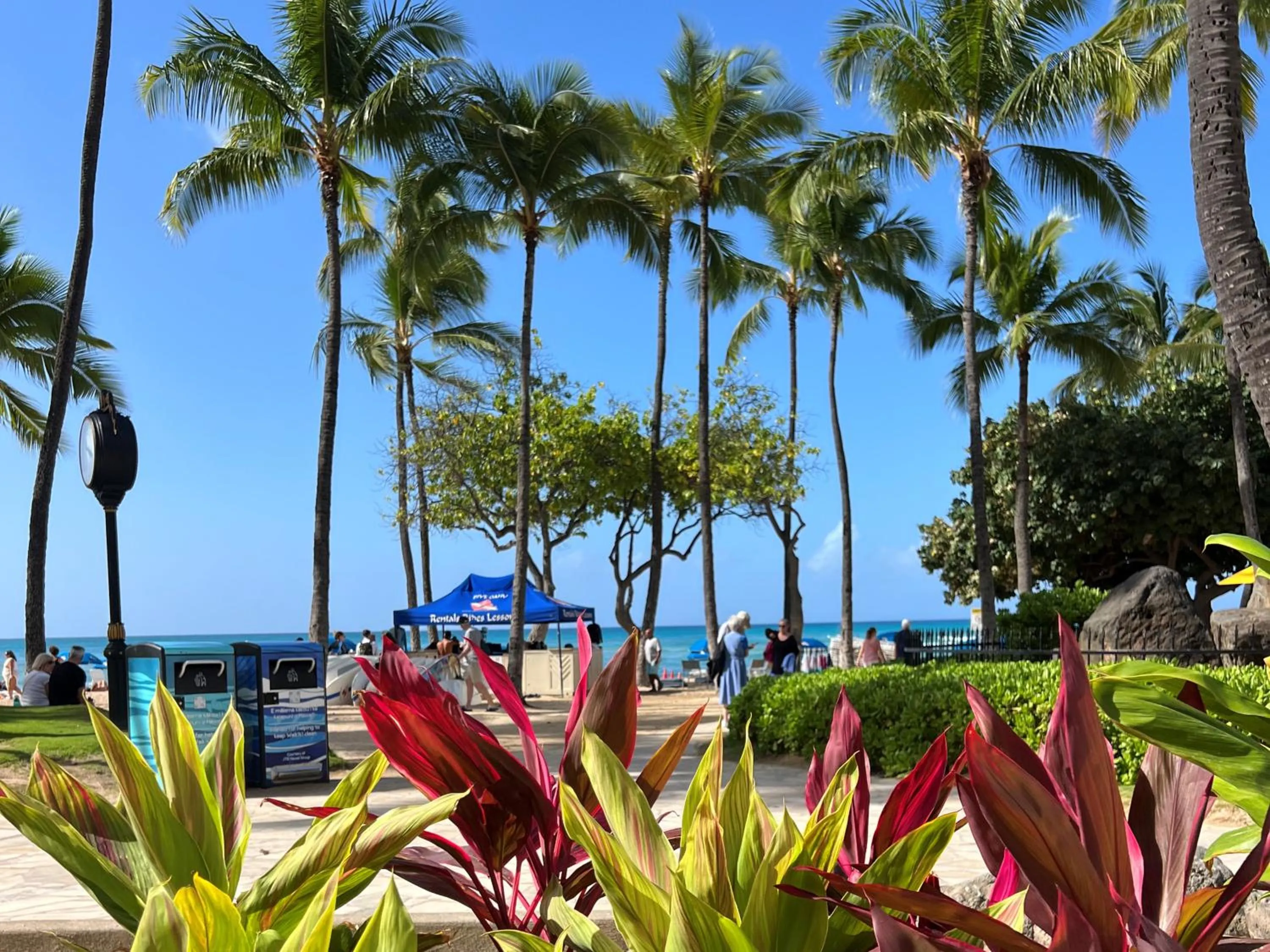 Nearby landmark in First Cabin International Hawaii