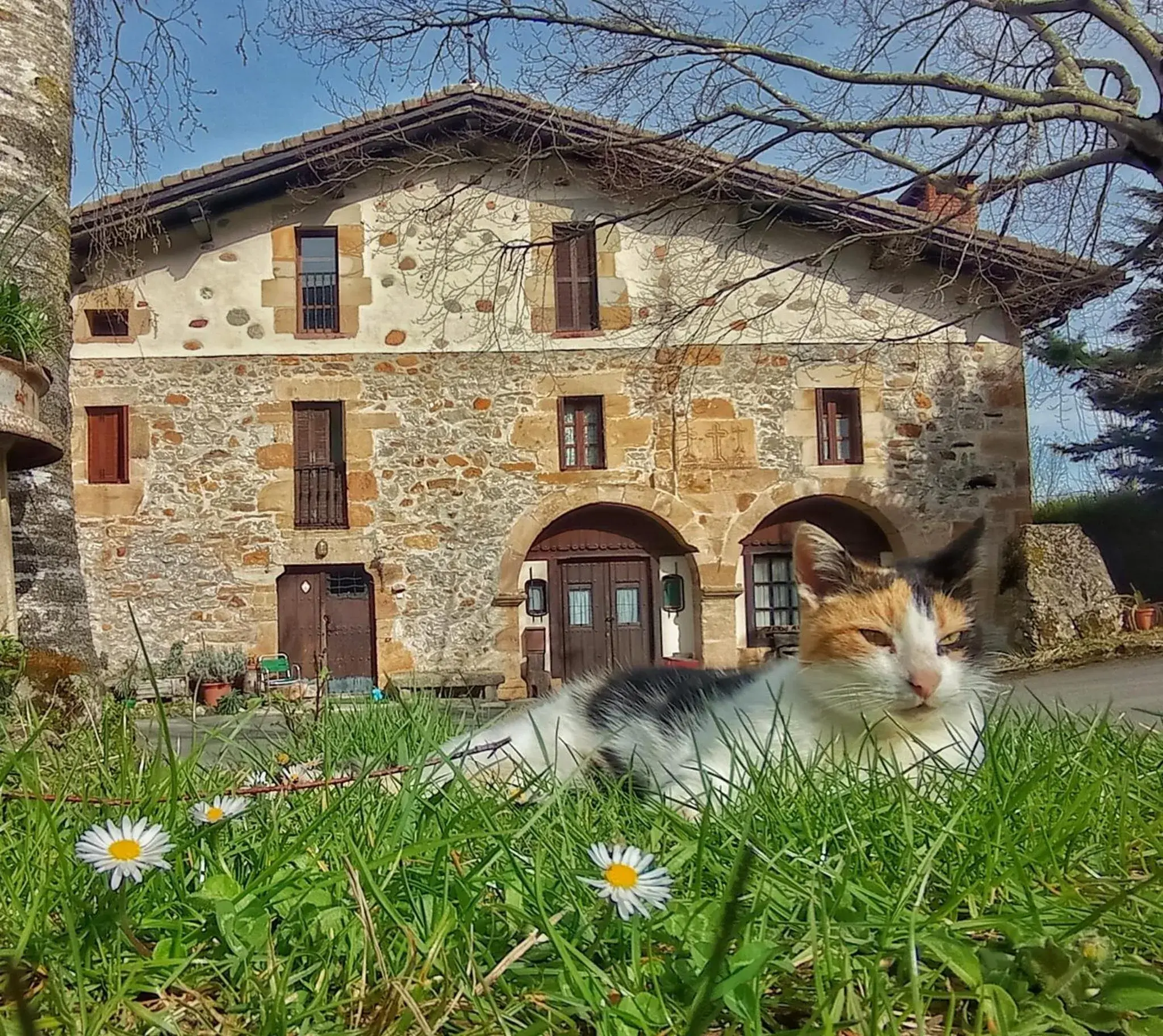 Casa Rural Areano Casa Rural Areano