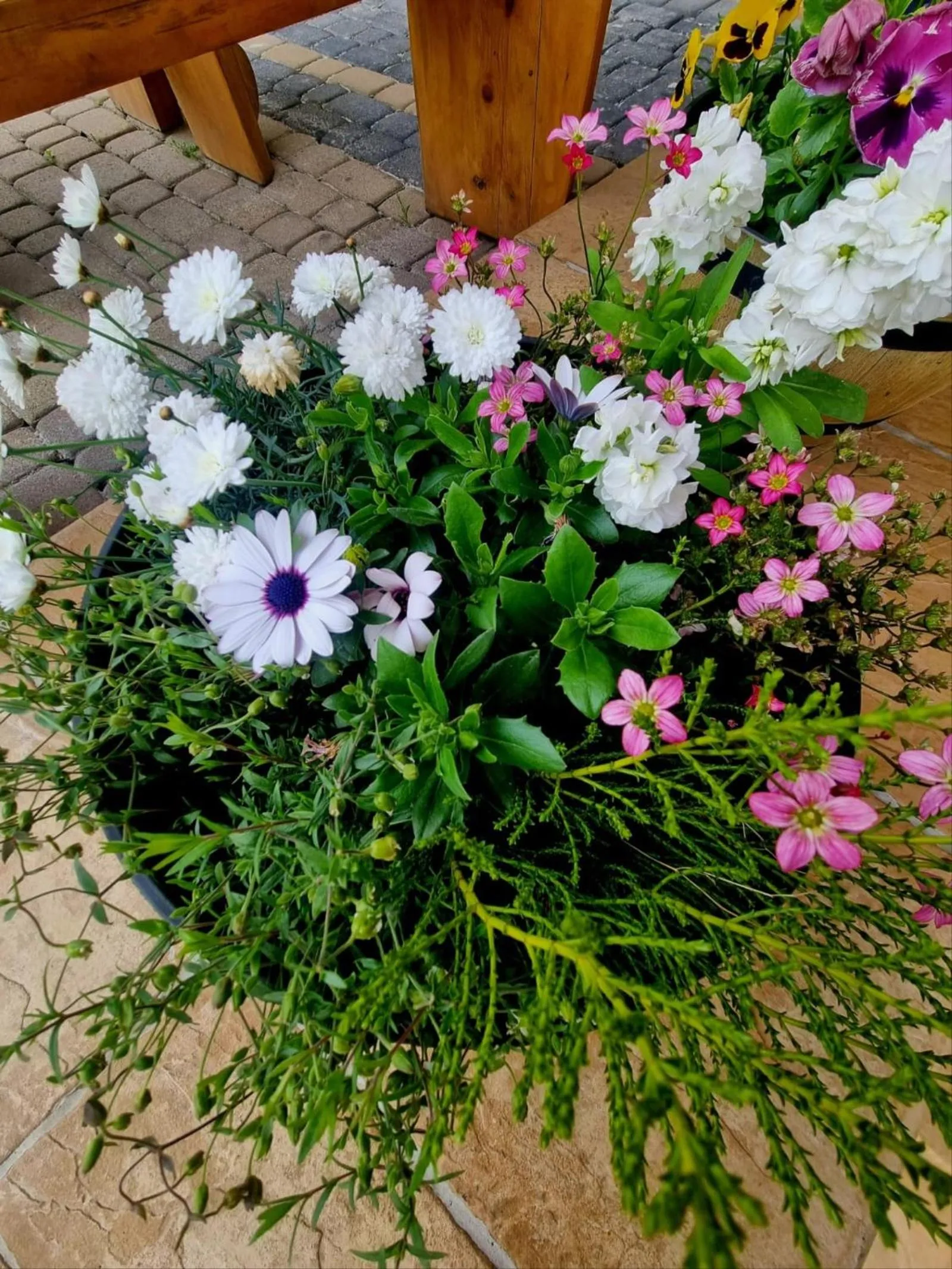 Garden in Willa Regina II Resort & SPA