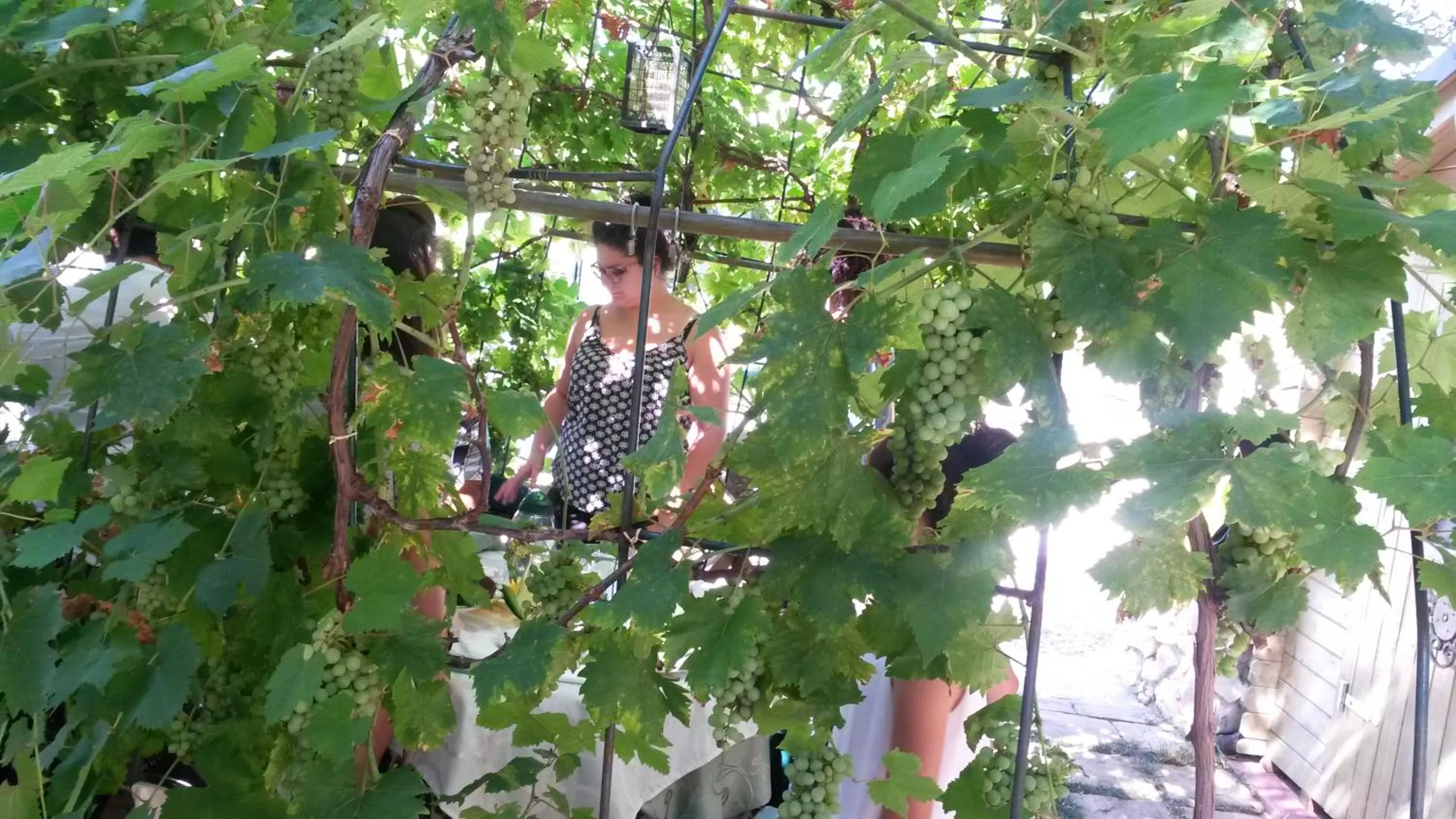 Entertainment in Agriturismo il Quadrifoglio