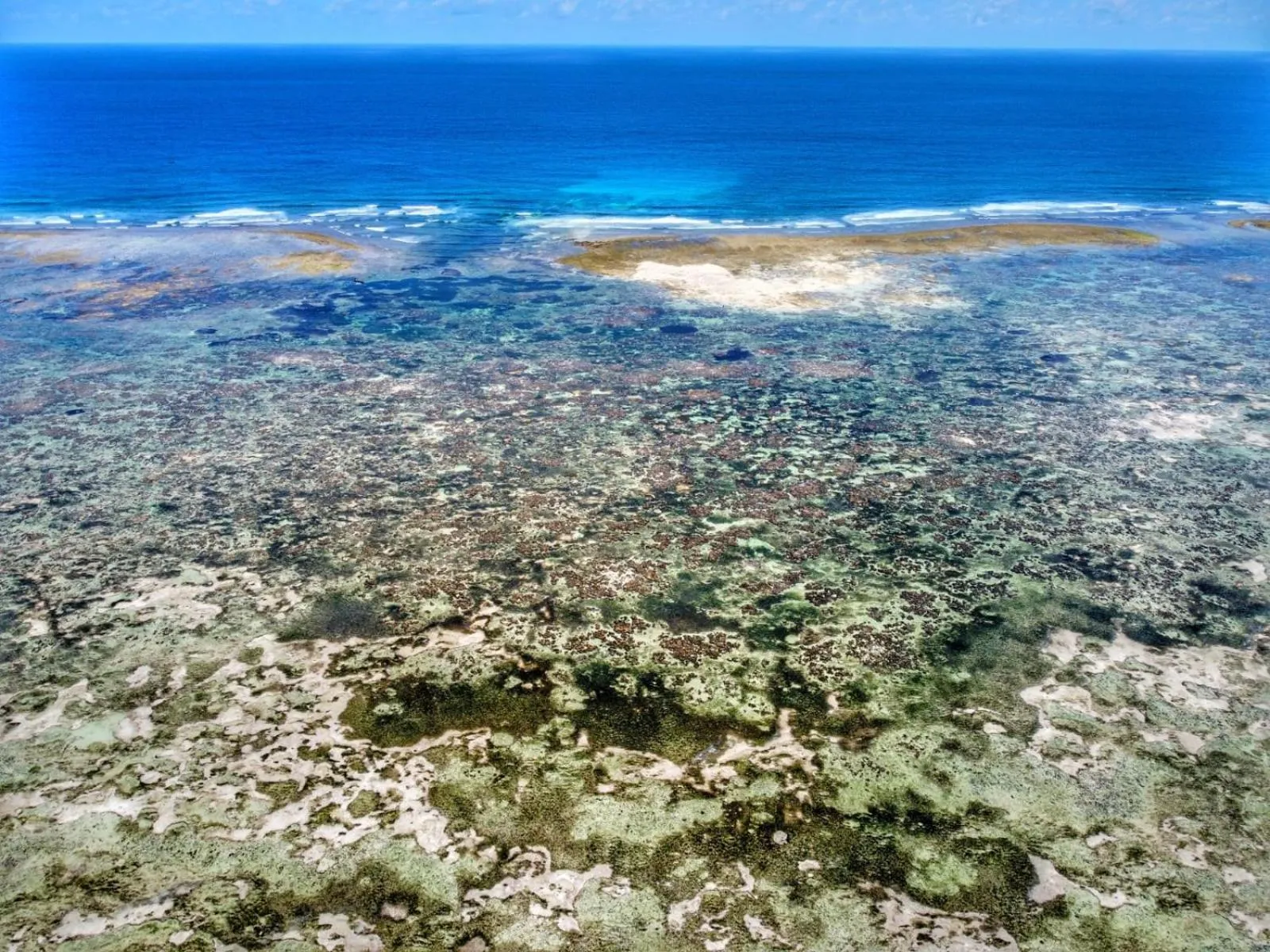 Sea view in Evergreen Bungalows