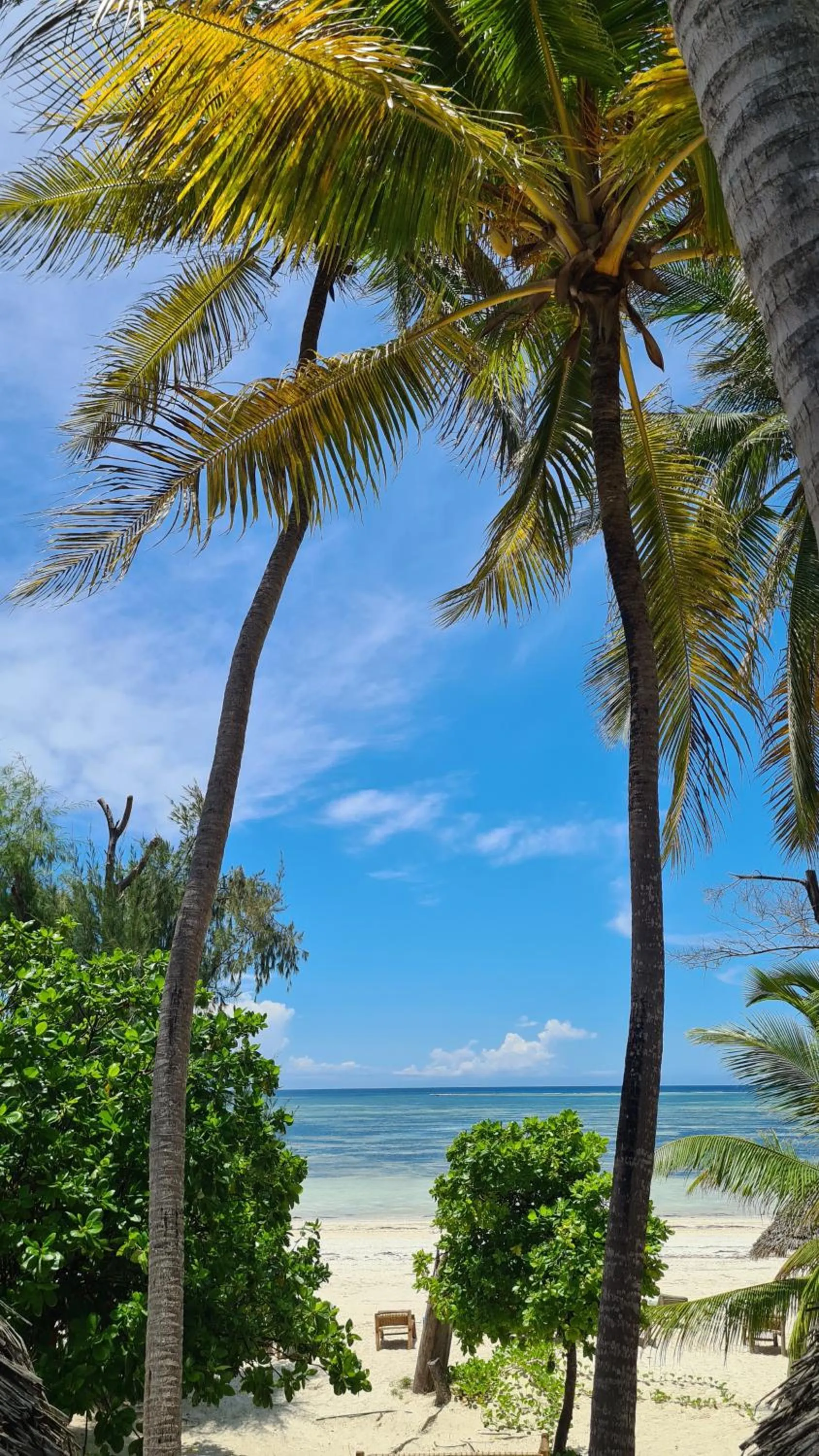 Natural landscape in Evergreen Bungalows