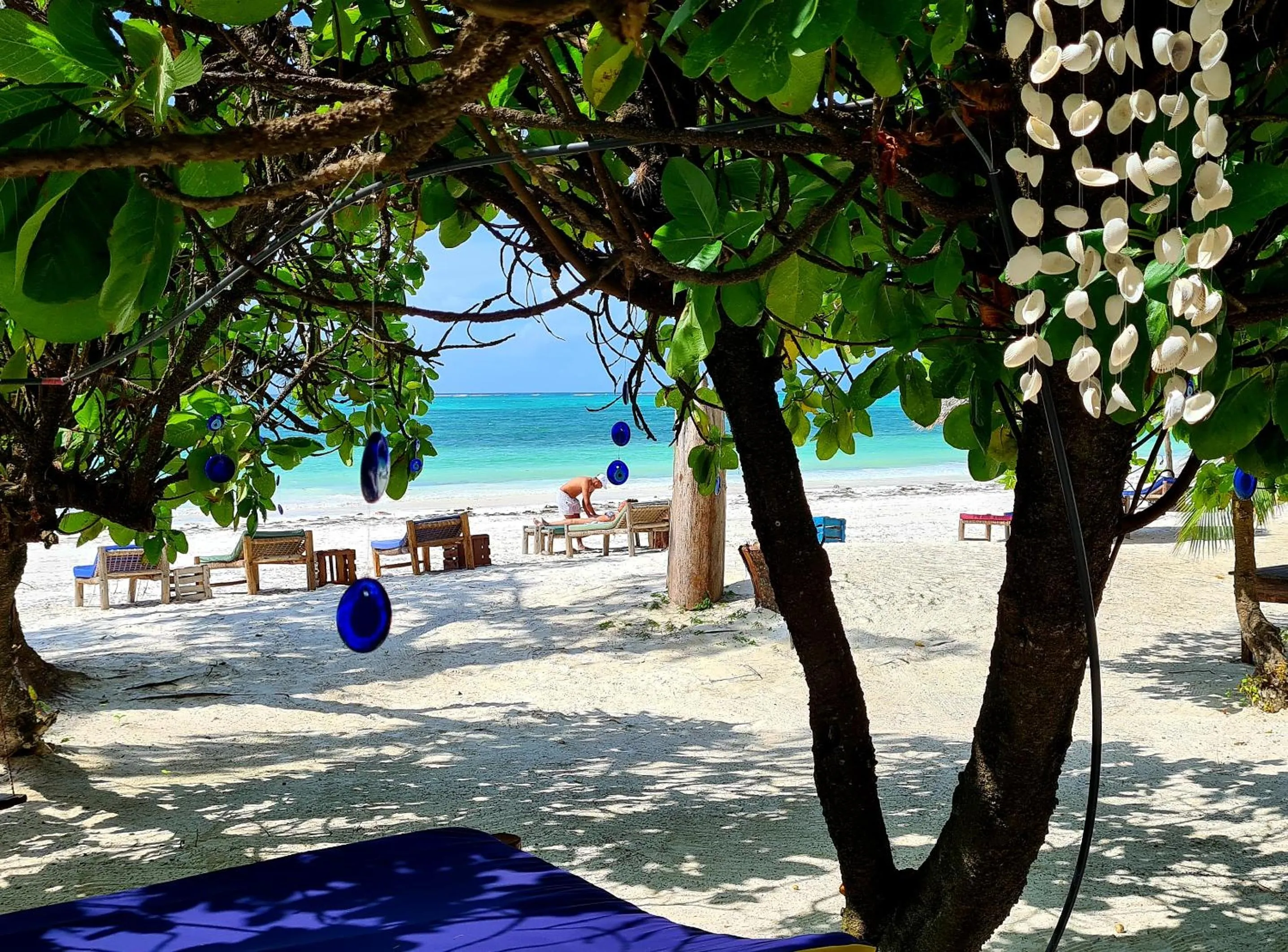 Day in Evergreen Bungalows