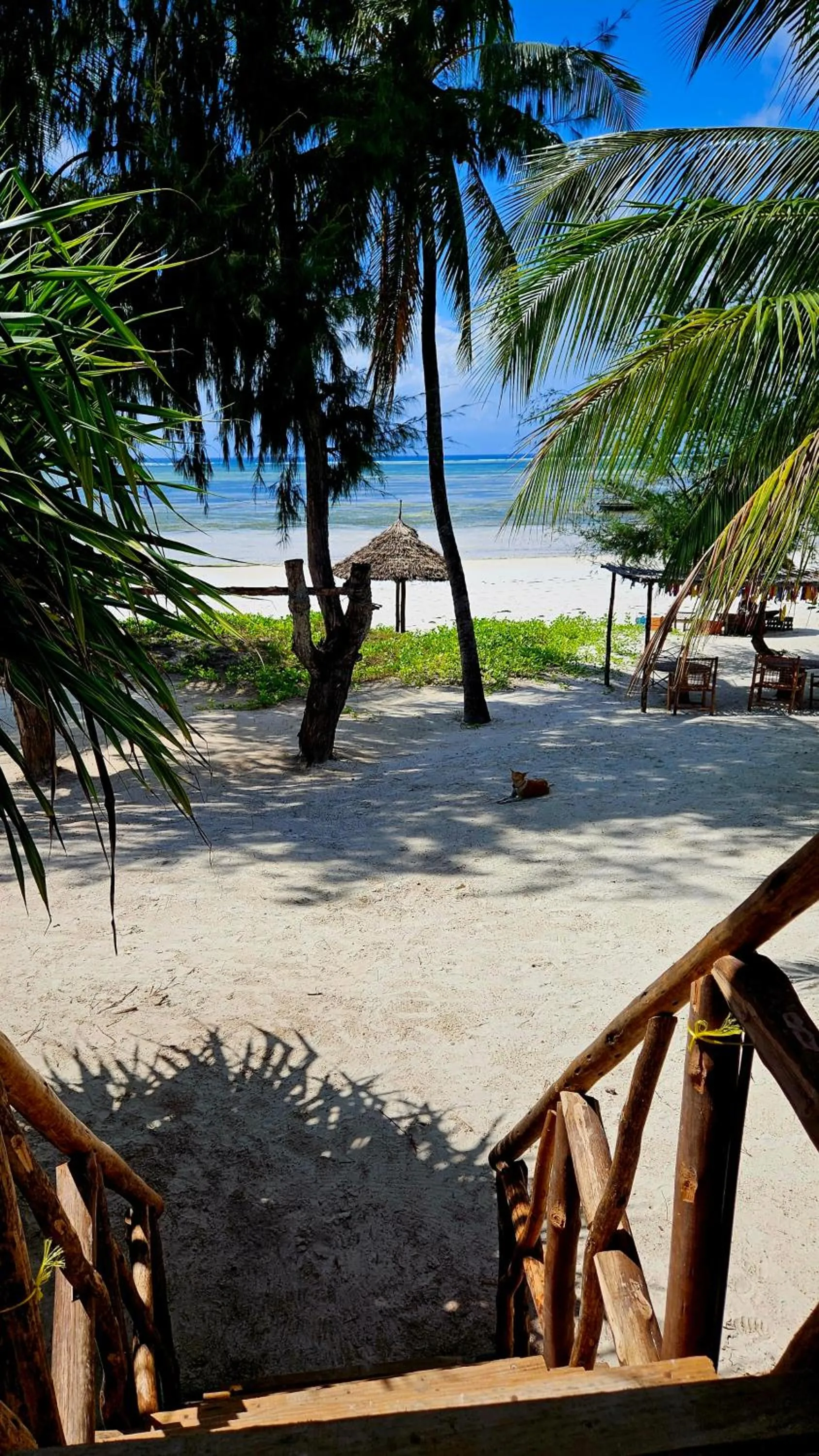 Beach in Evergreen Bungalows