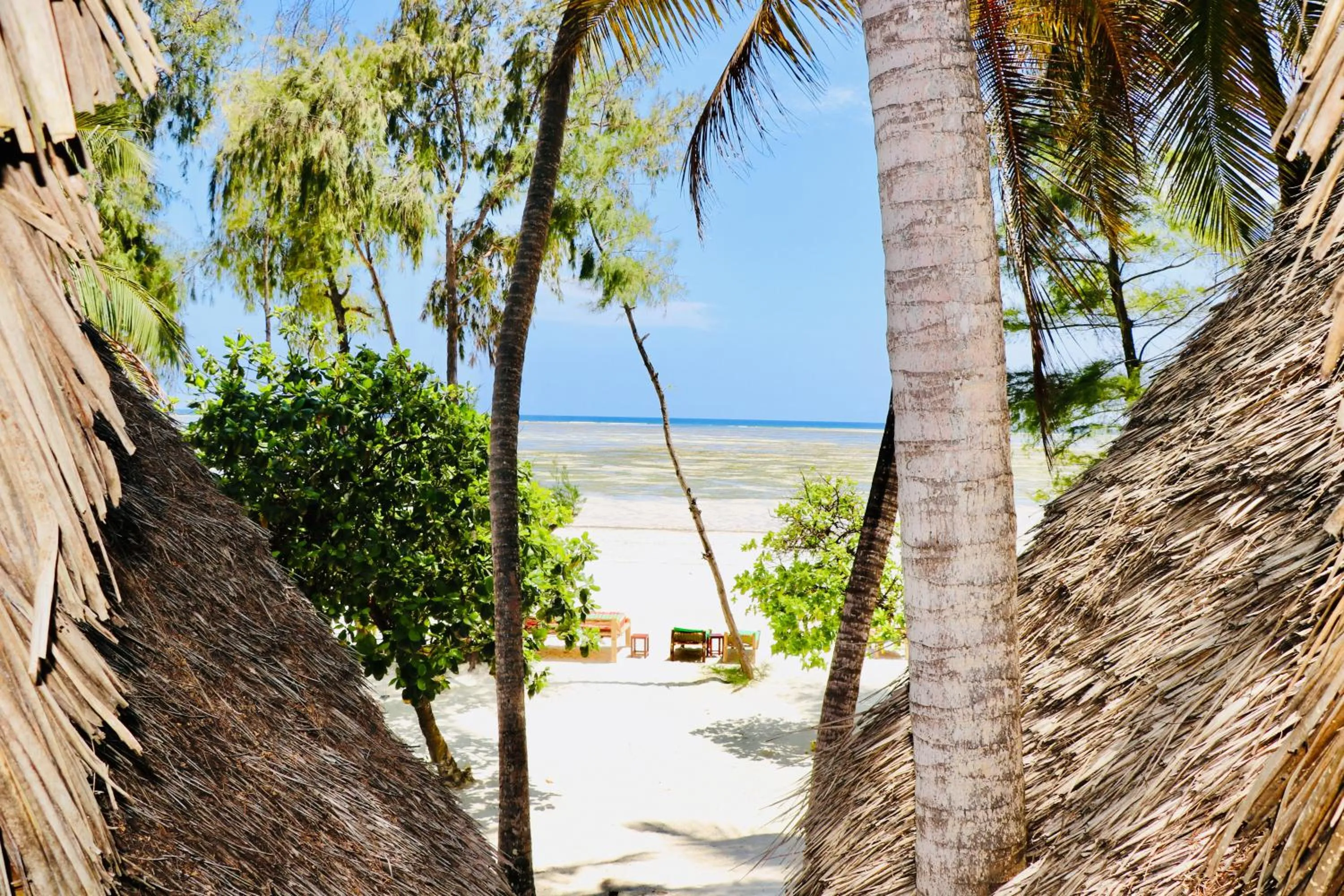Beach in Evergreen Bungalows