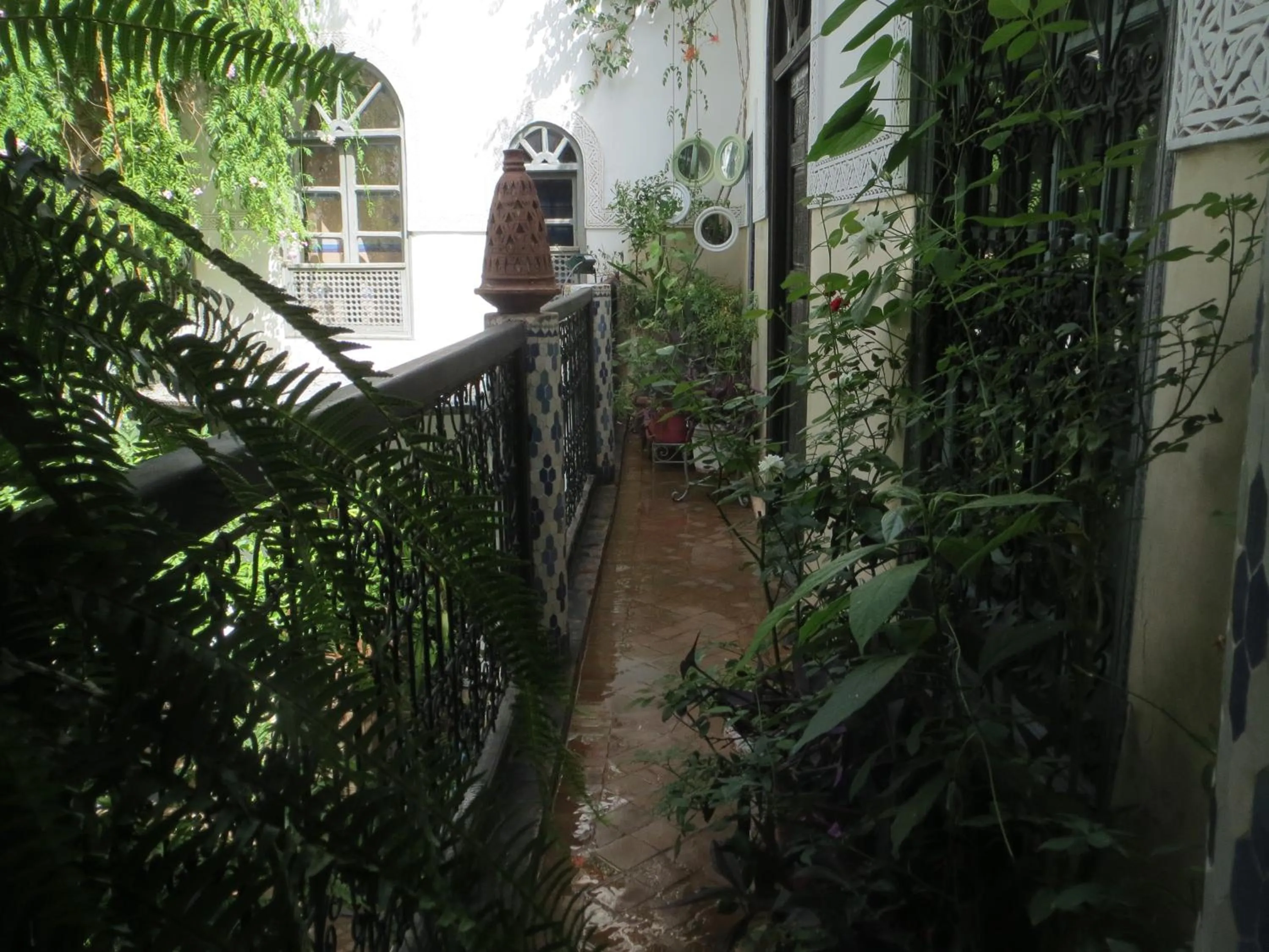Garden view in Riad Maizie