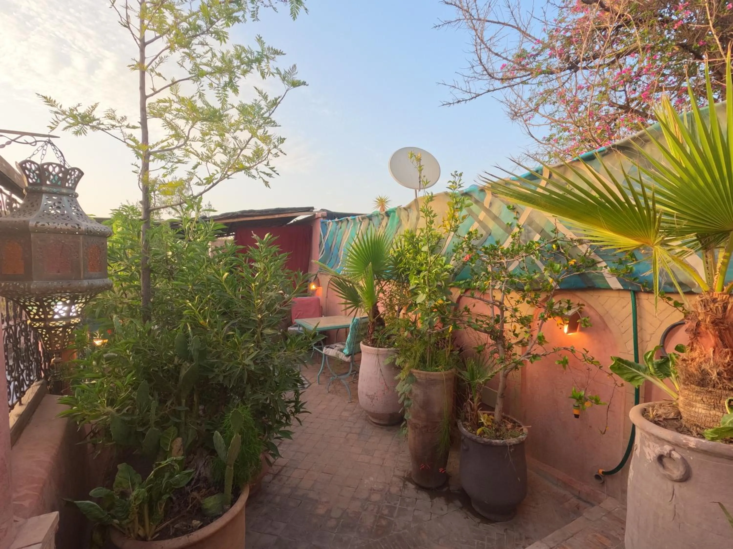 Balcony/Terrace in Riad Maizie