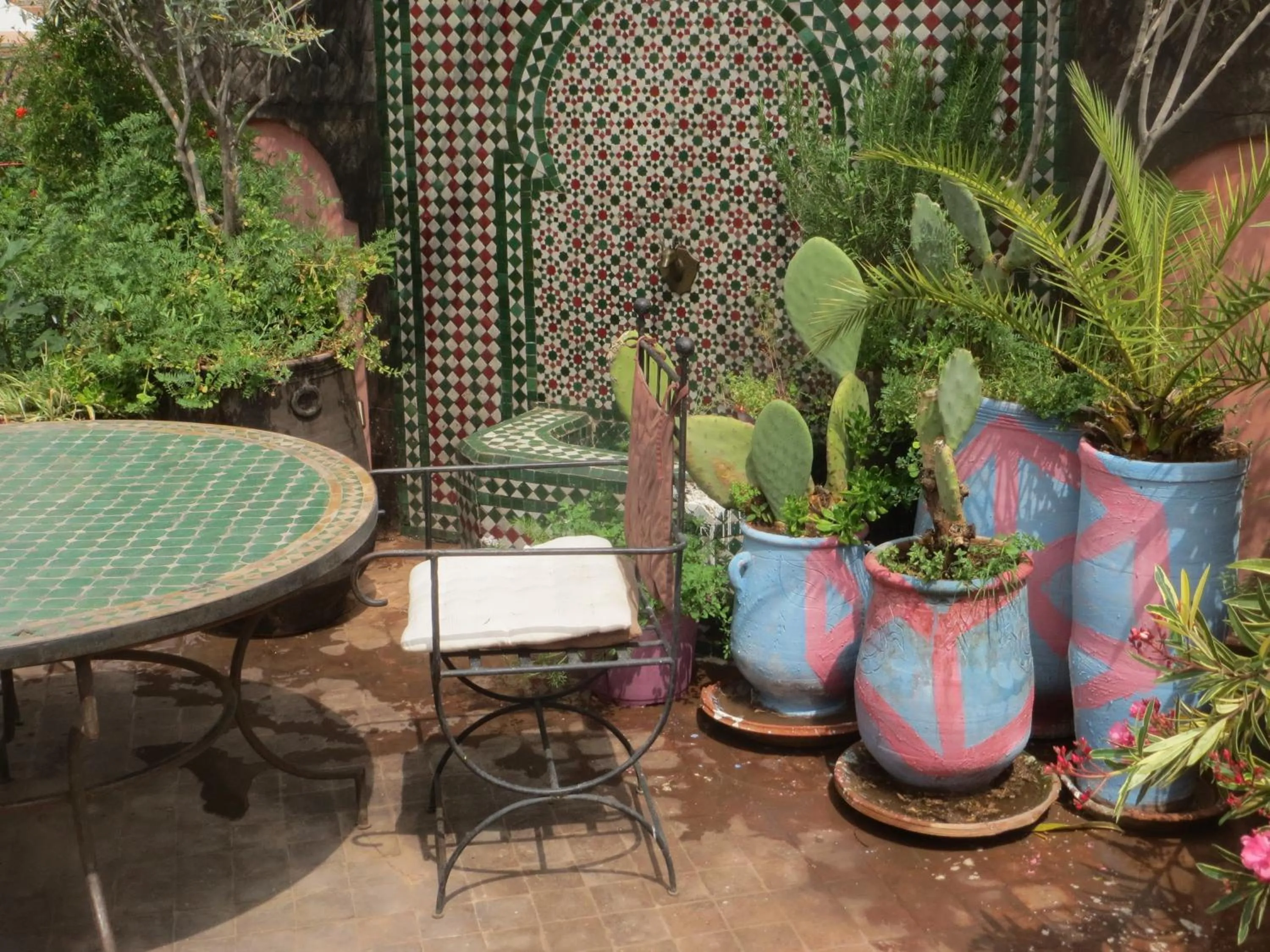 Garden in Riad Maizie