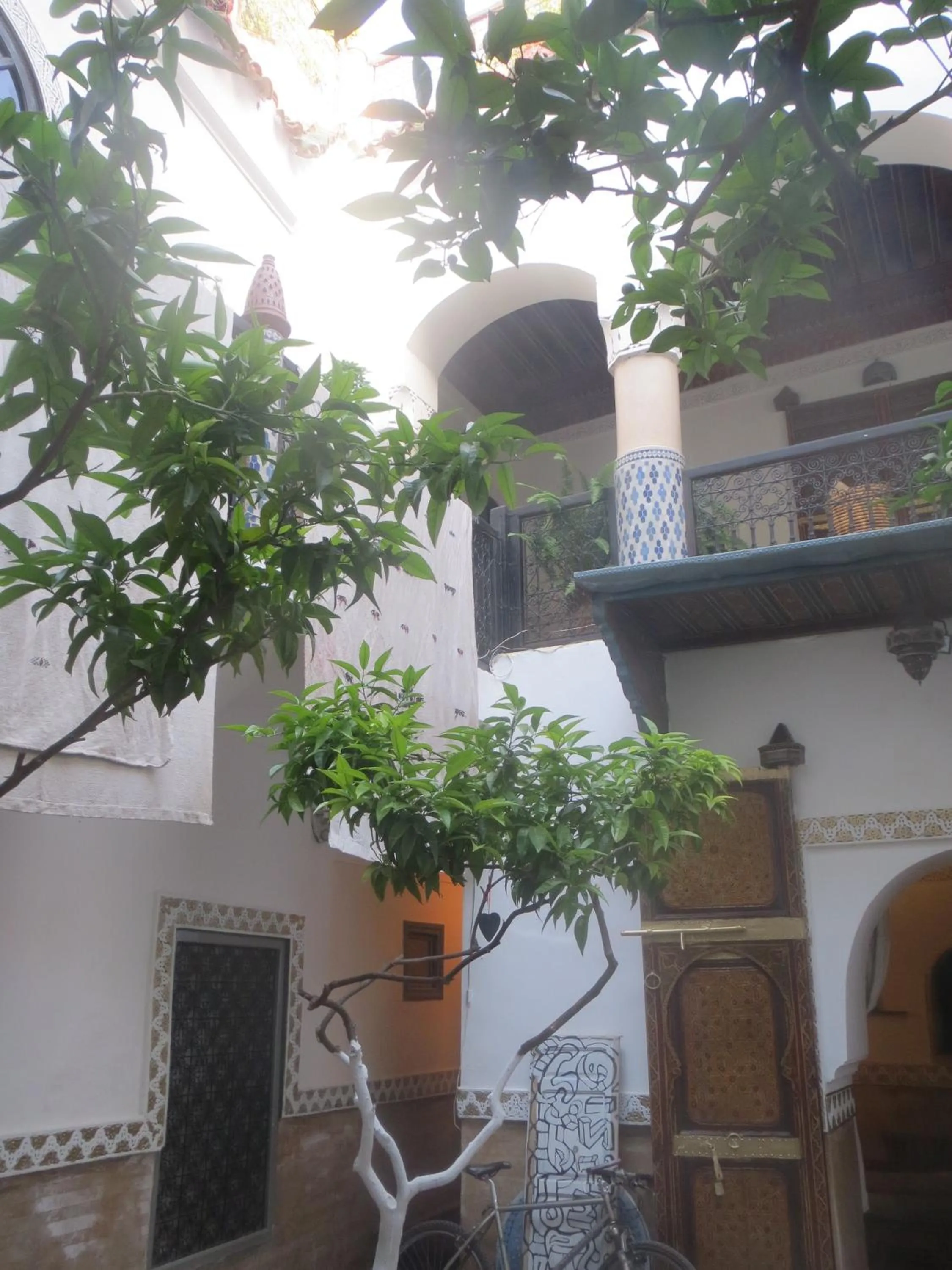 Garden in Riad Maizie