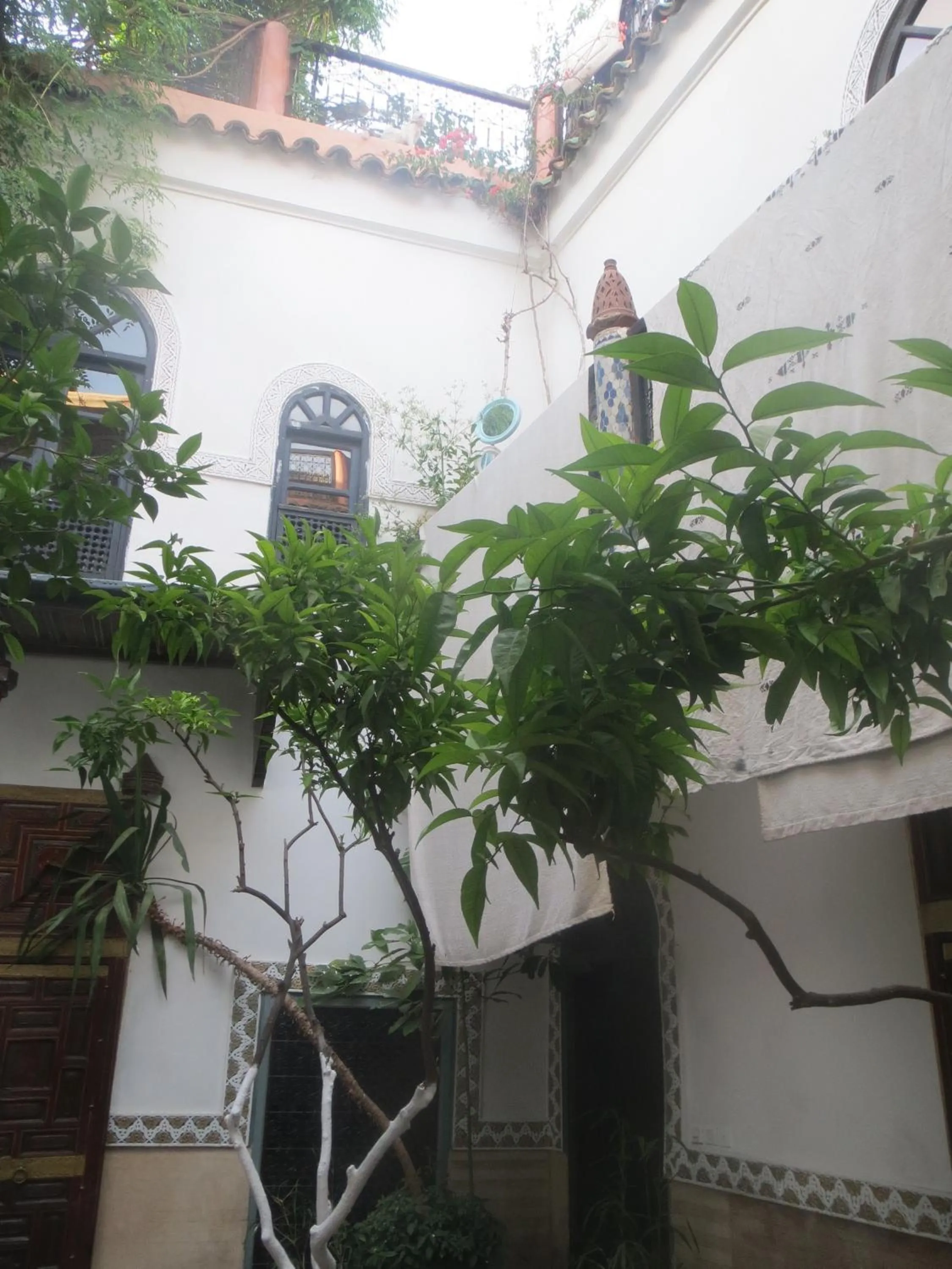 Garden in Riad Maizie