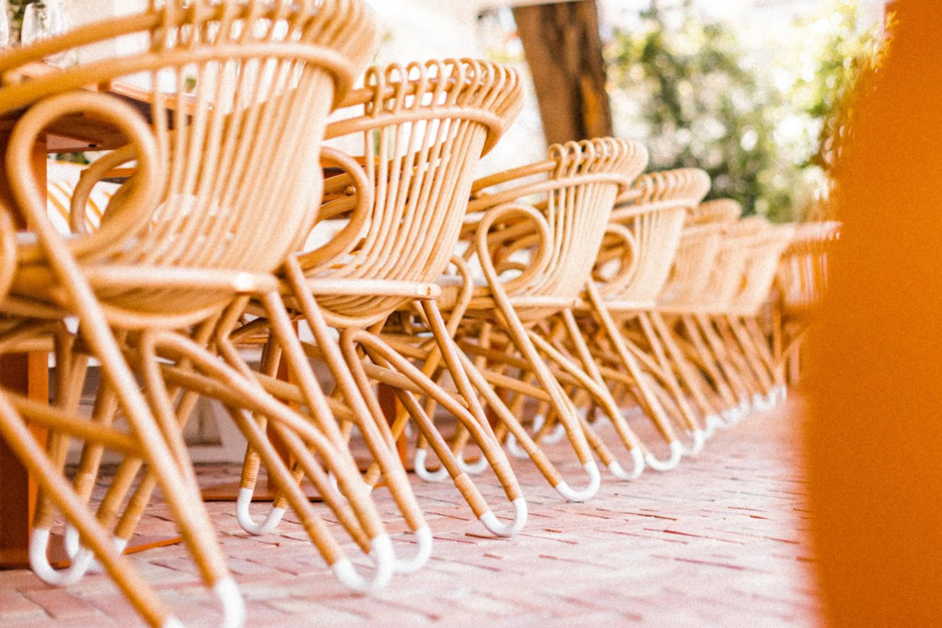 Restaurant/places to eat in Hotel des Lices