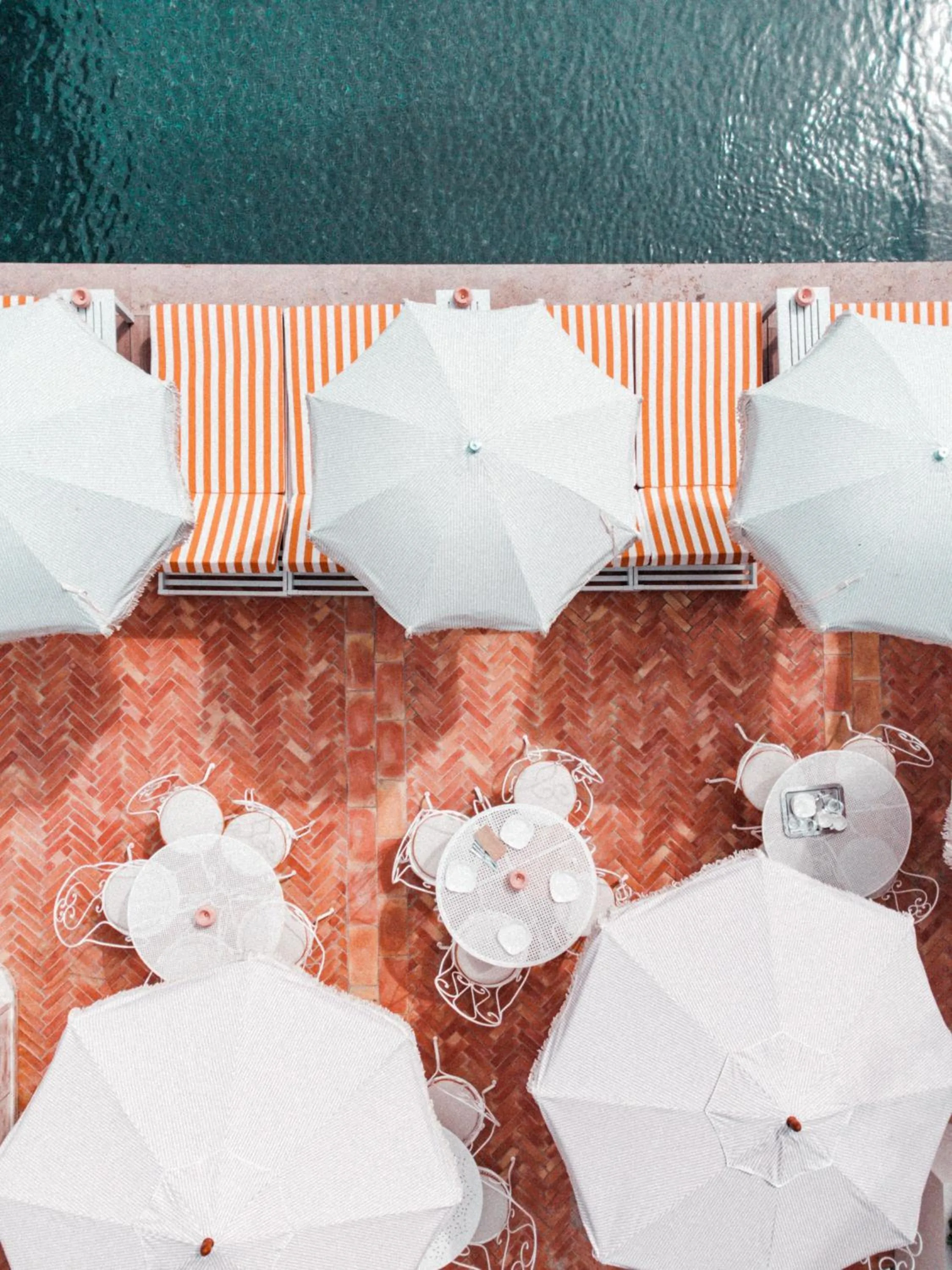 Restaurant/places to eat in Hotel des Lices