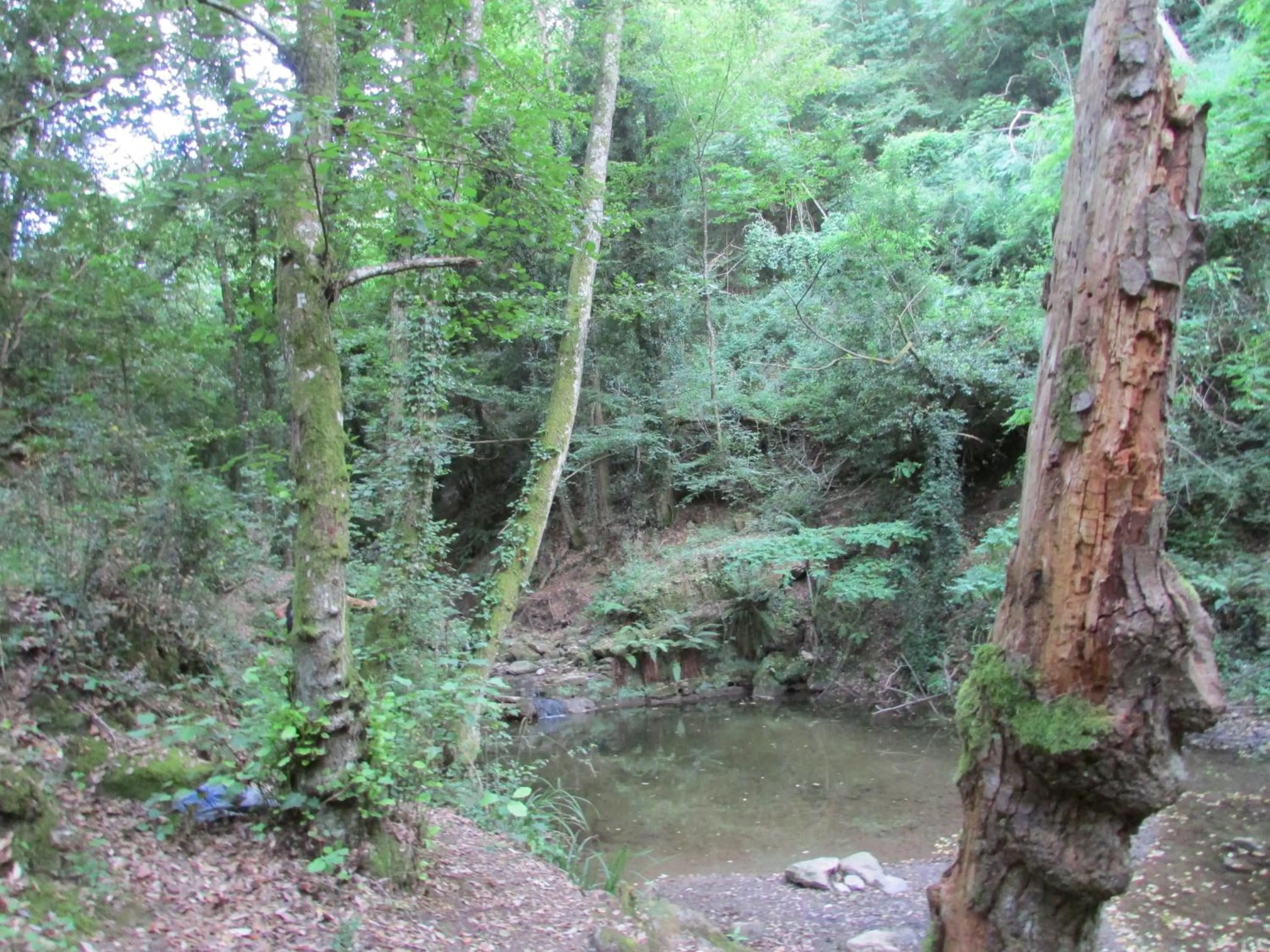 Natural landscape in Appartamento Sezzate 40
