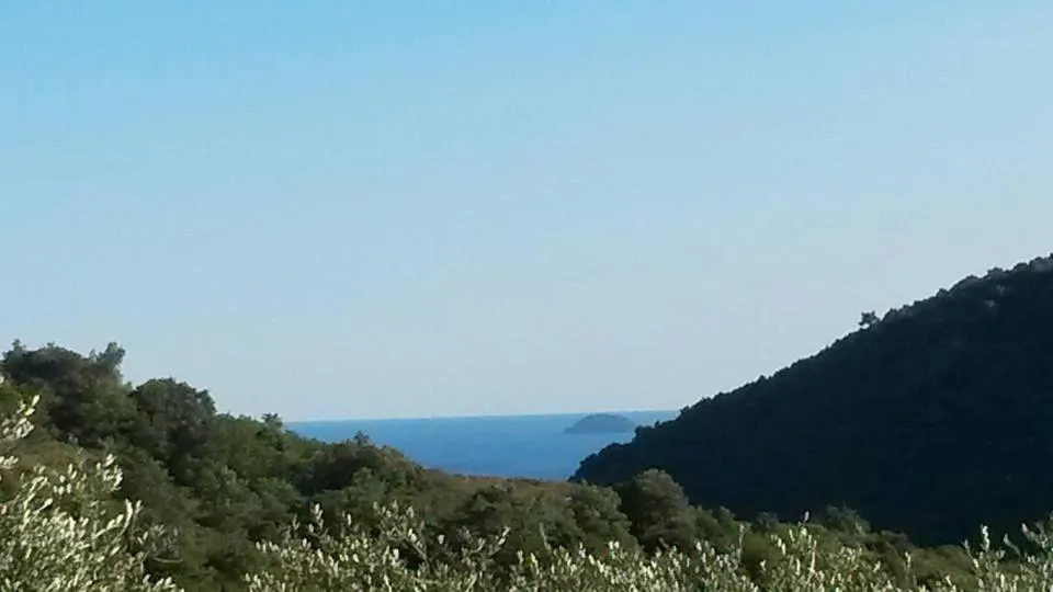 Natural landscape in L'Uliveto D'Argento