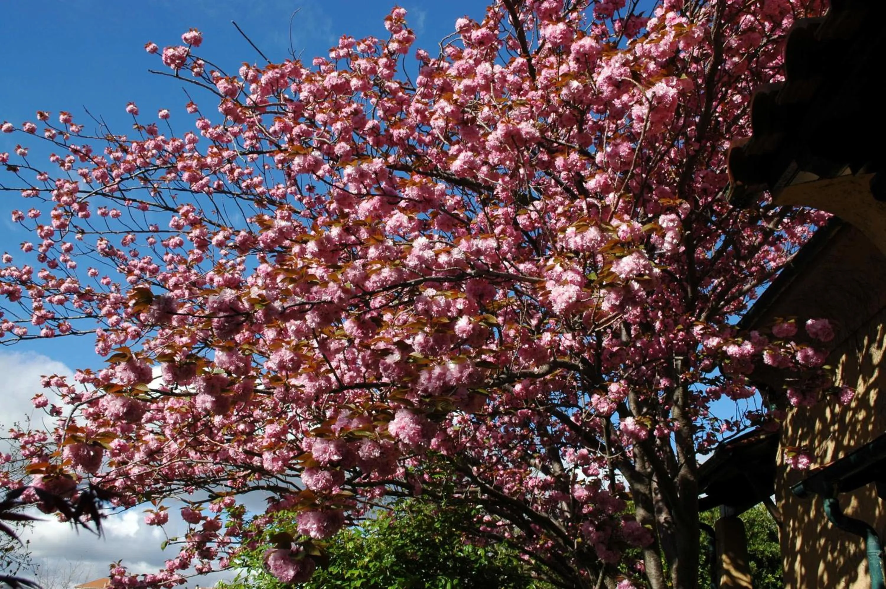 Garden view in L'Uliveto D'Argento