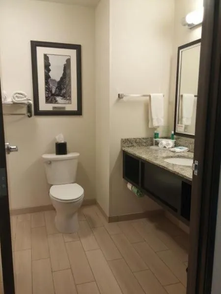 Toilet in Holiday Inn Express & Suites Golden by IHG