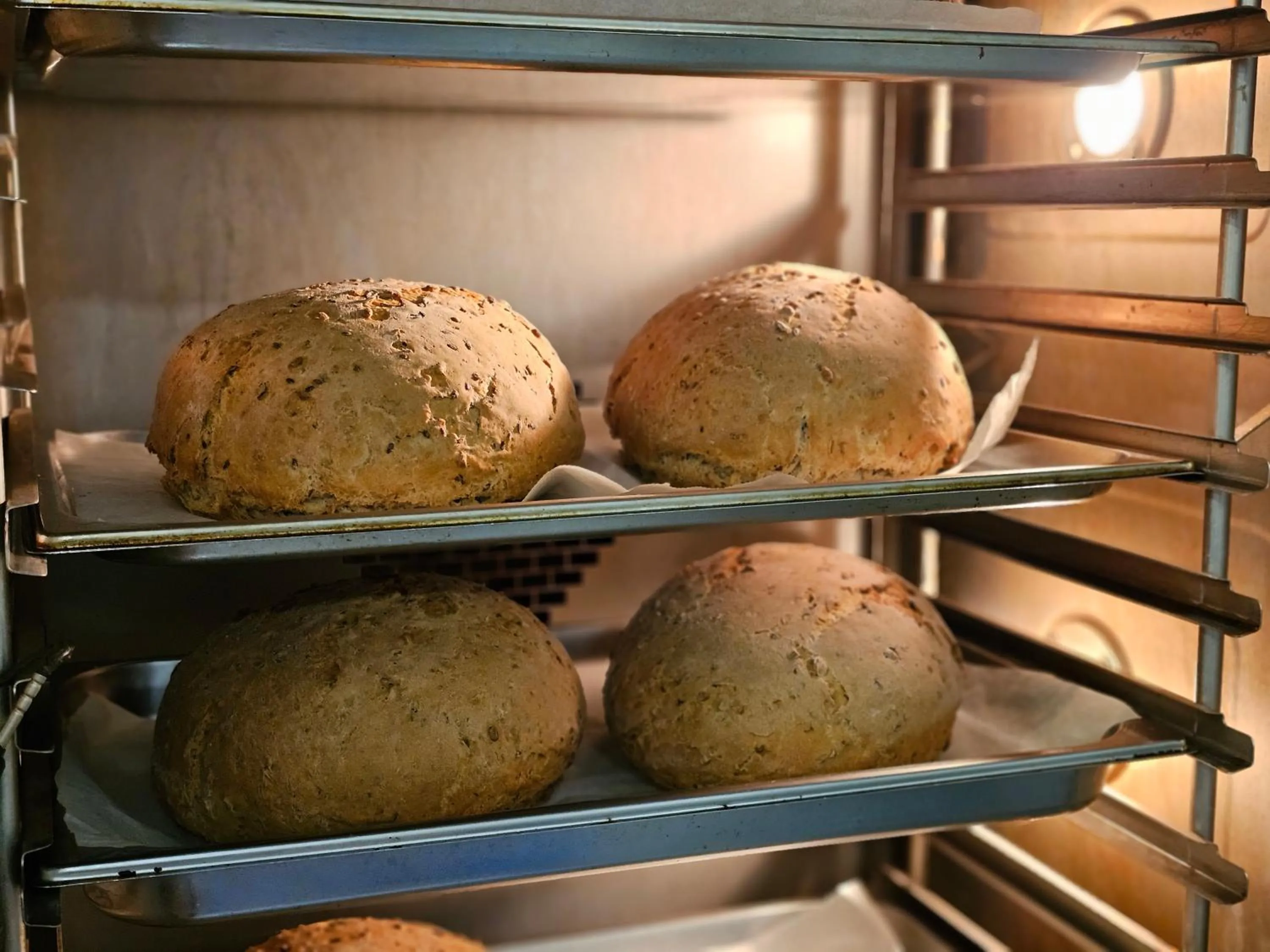 Food in Balónový hotel a pivovar Radešín