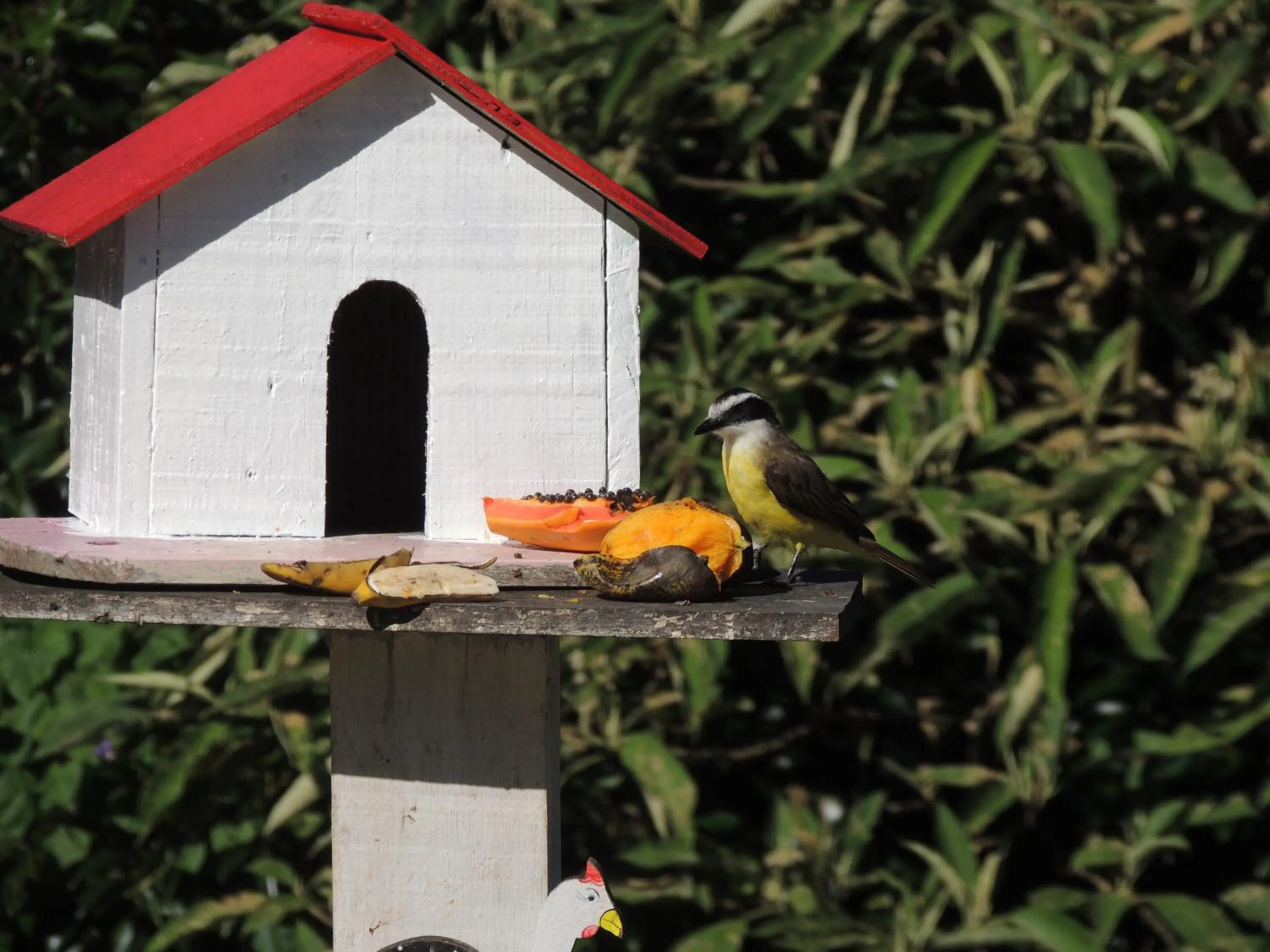Garden in Pousada Cantinho da Mi & Teco