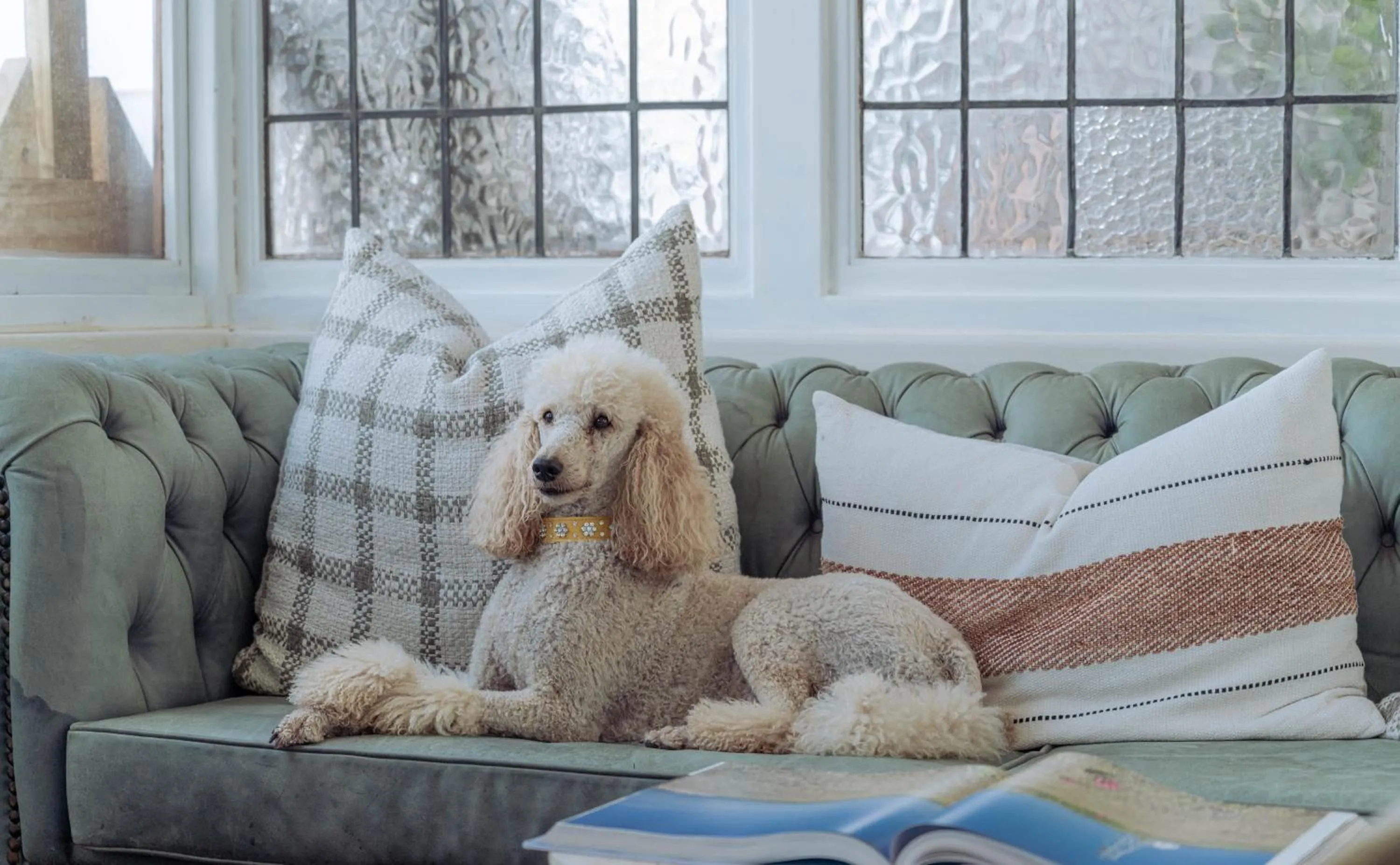 Stoep By Ideas Cartel