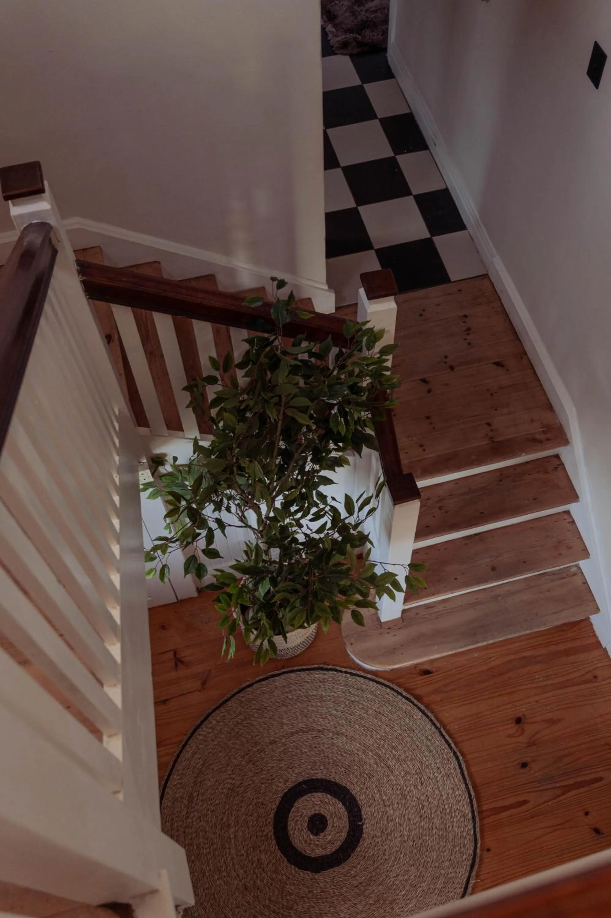 Stoep By Ideas Cartel