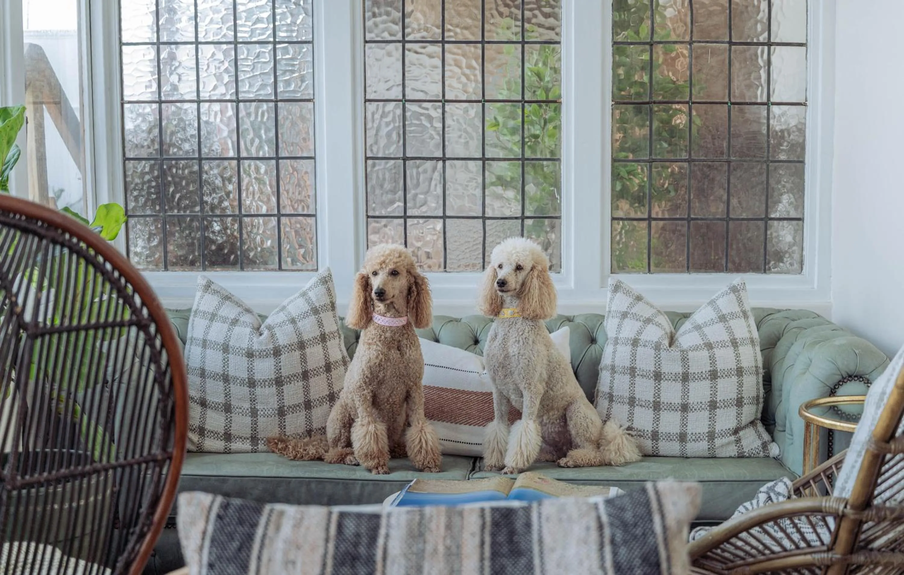 Stoep By Ideas Cartel