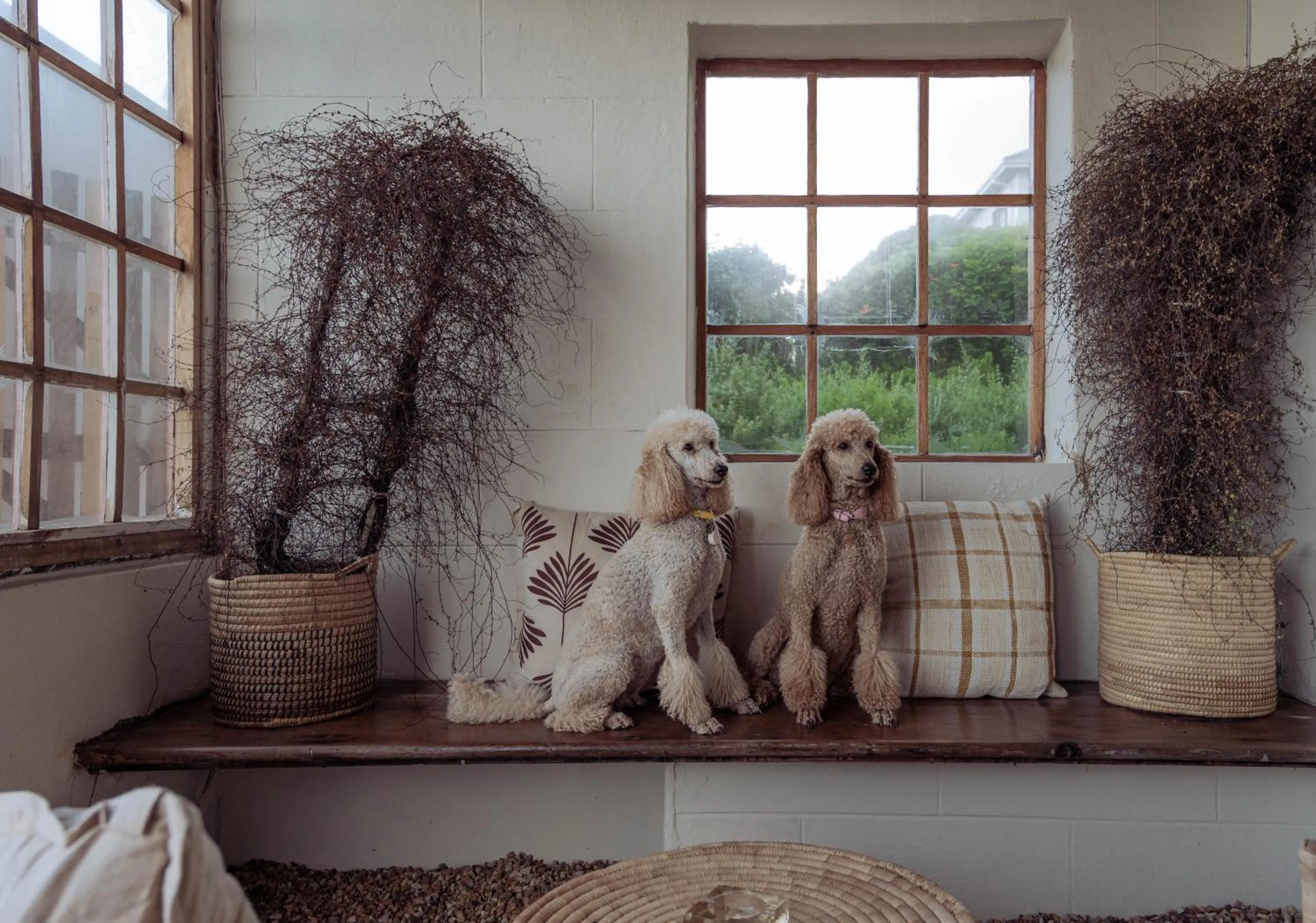 Stoep By Ideas Cartel