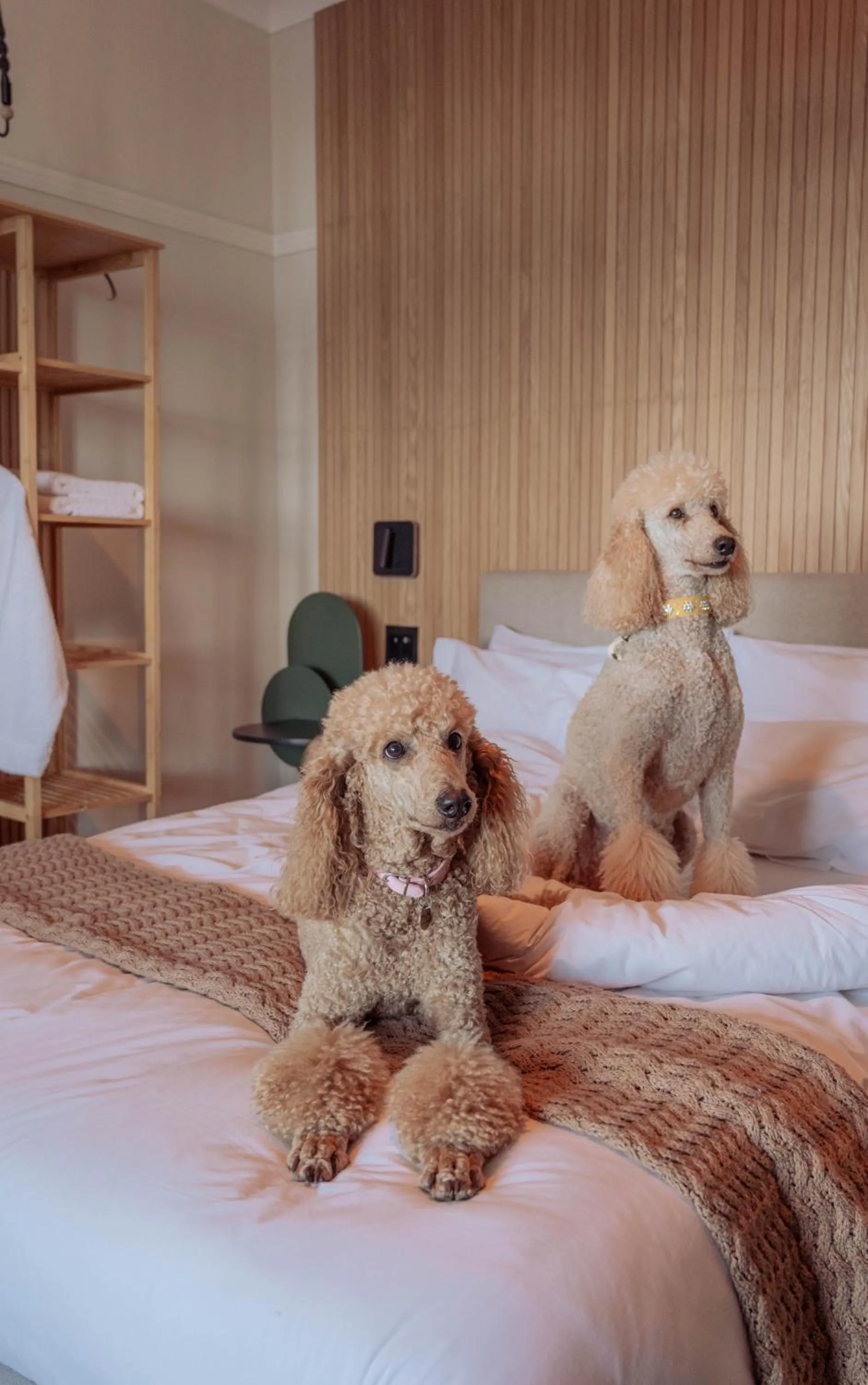 Bed in Stoep By Ideas Cartel