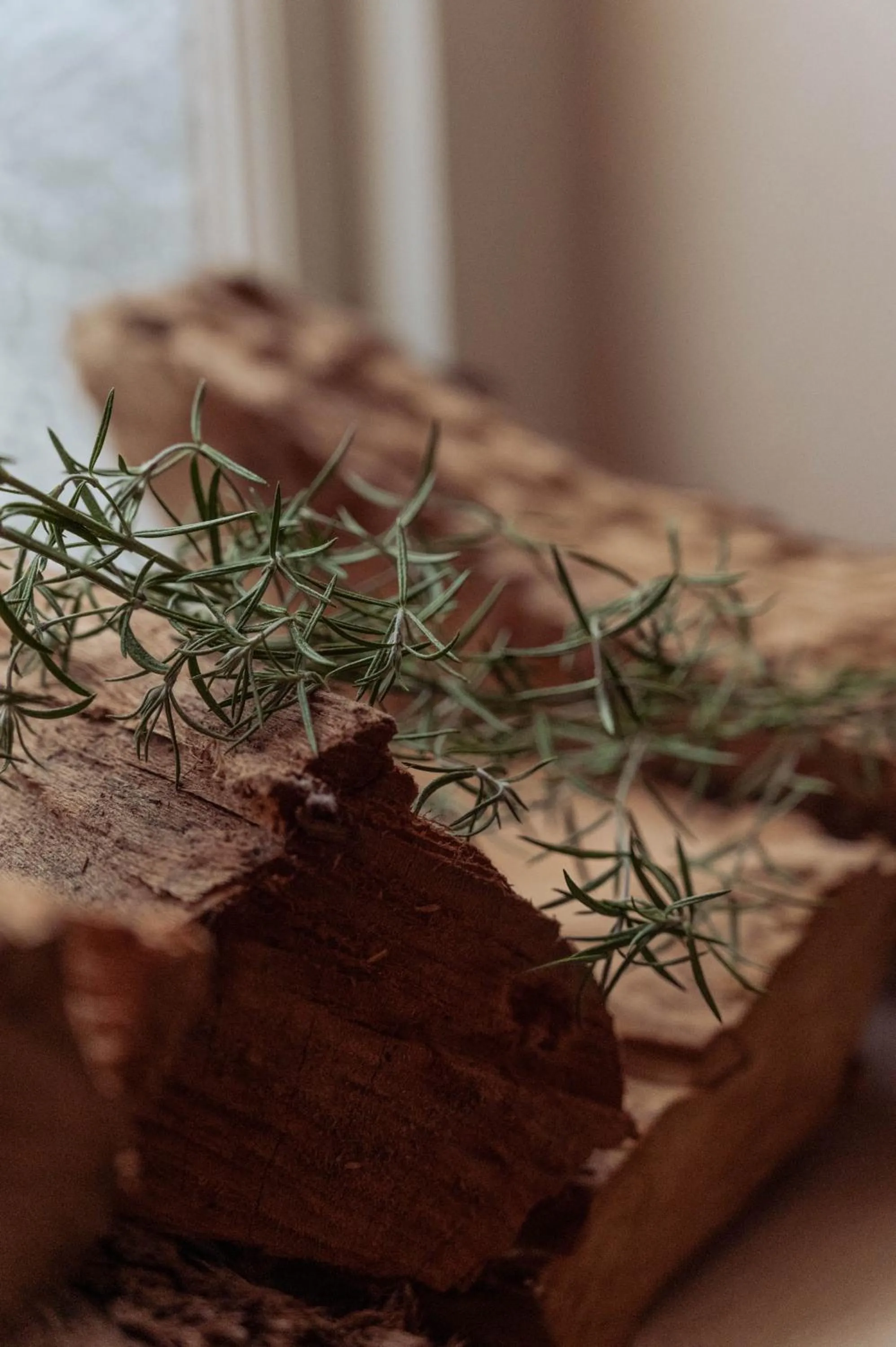 Stoep By Ideas Cartel